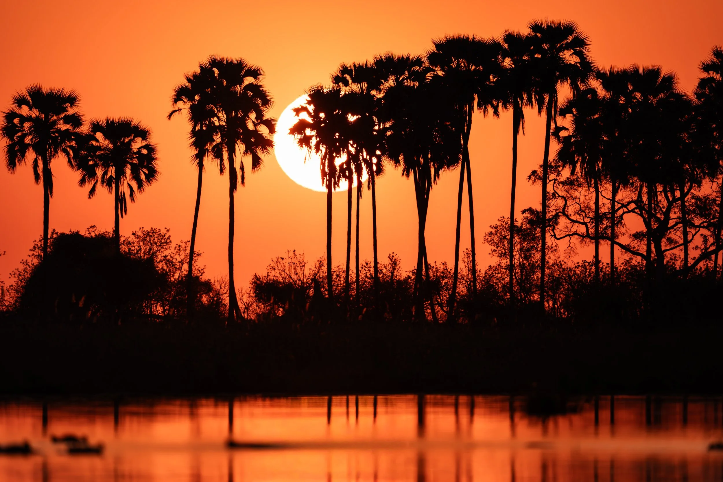 09-30-2025-BOTSWANA-A9-BEM08427.jpg