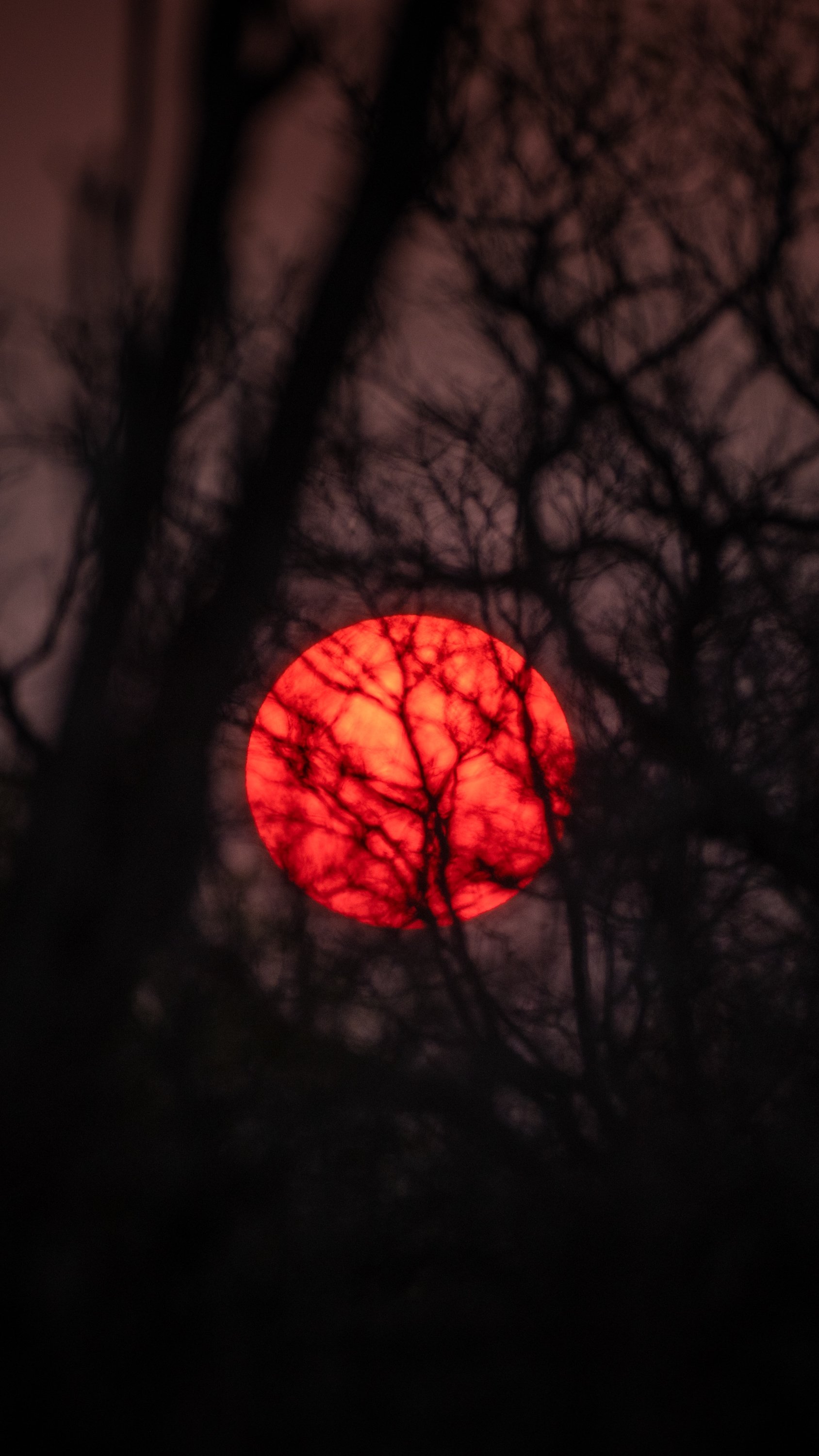 20221023_ZAMBIA_TPJ00225-Edit.jpg