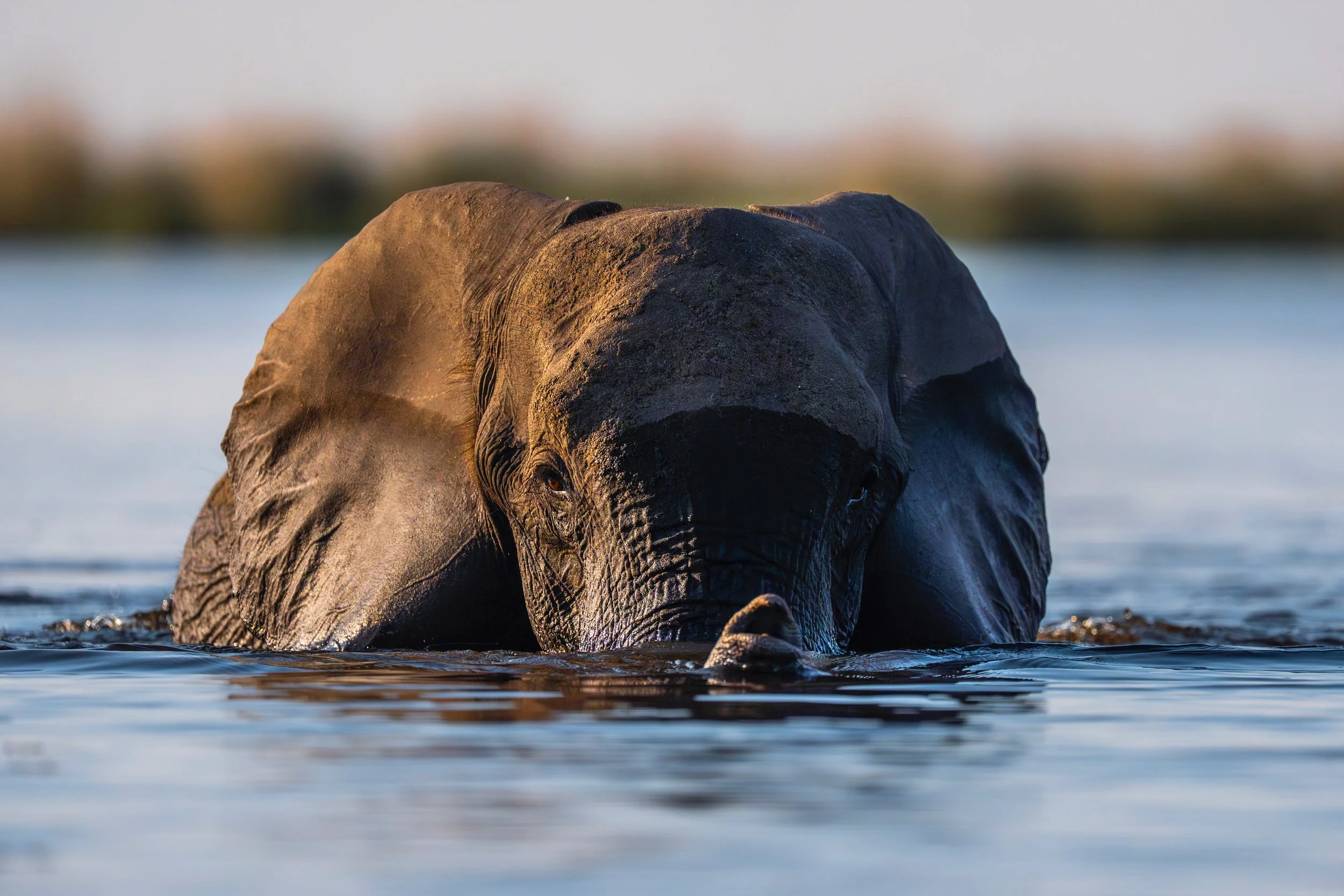 09-30-2025-Botswana-A9-TPJ09081 (1).jpeg