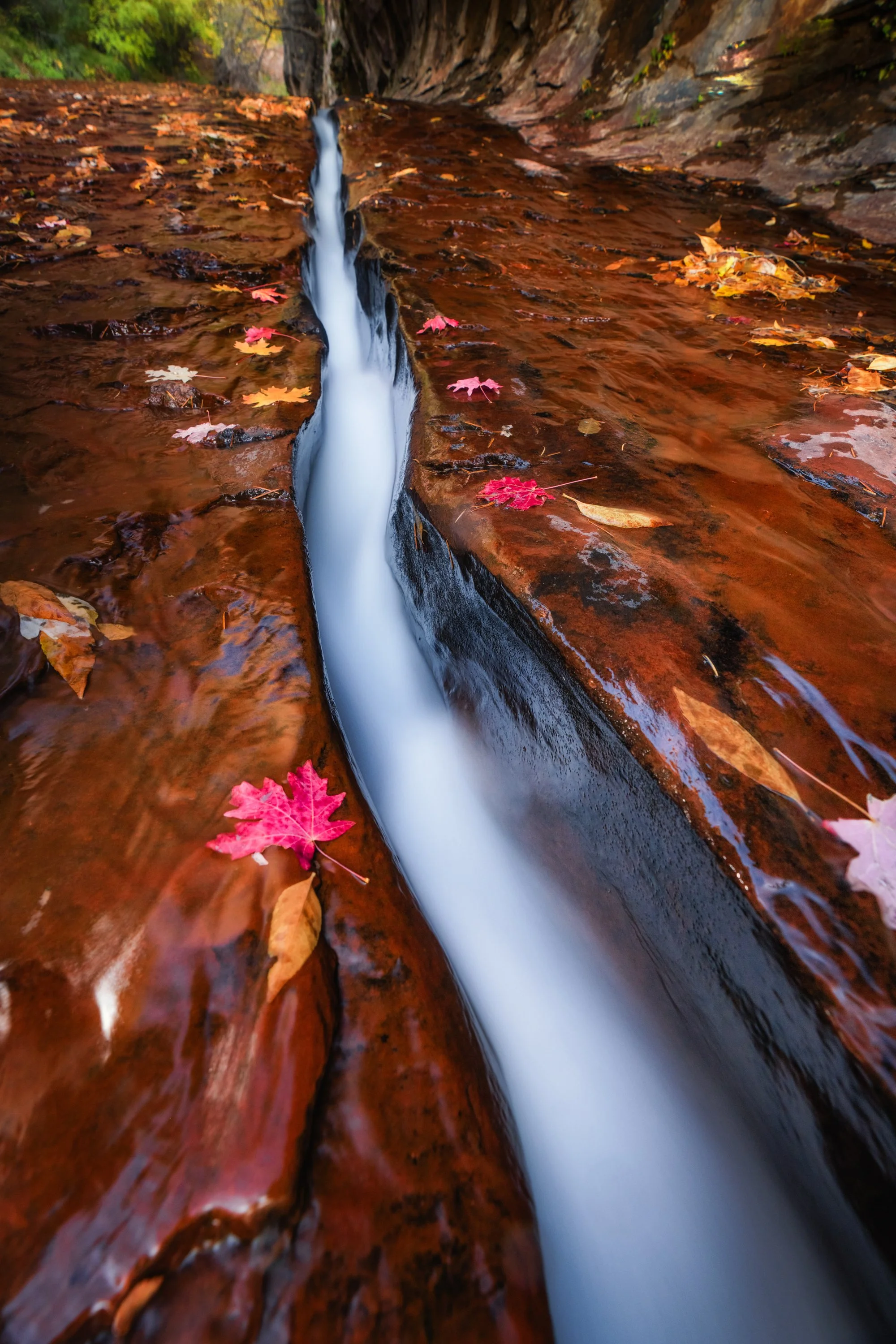 11-02-2023-Zion-Nat-Geo-TPJ07534-Edit-2.jpg