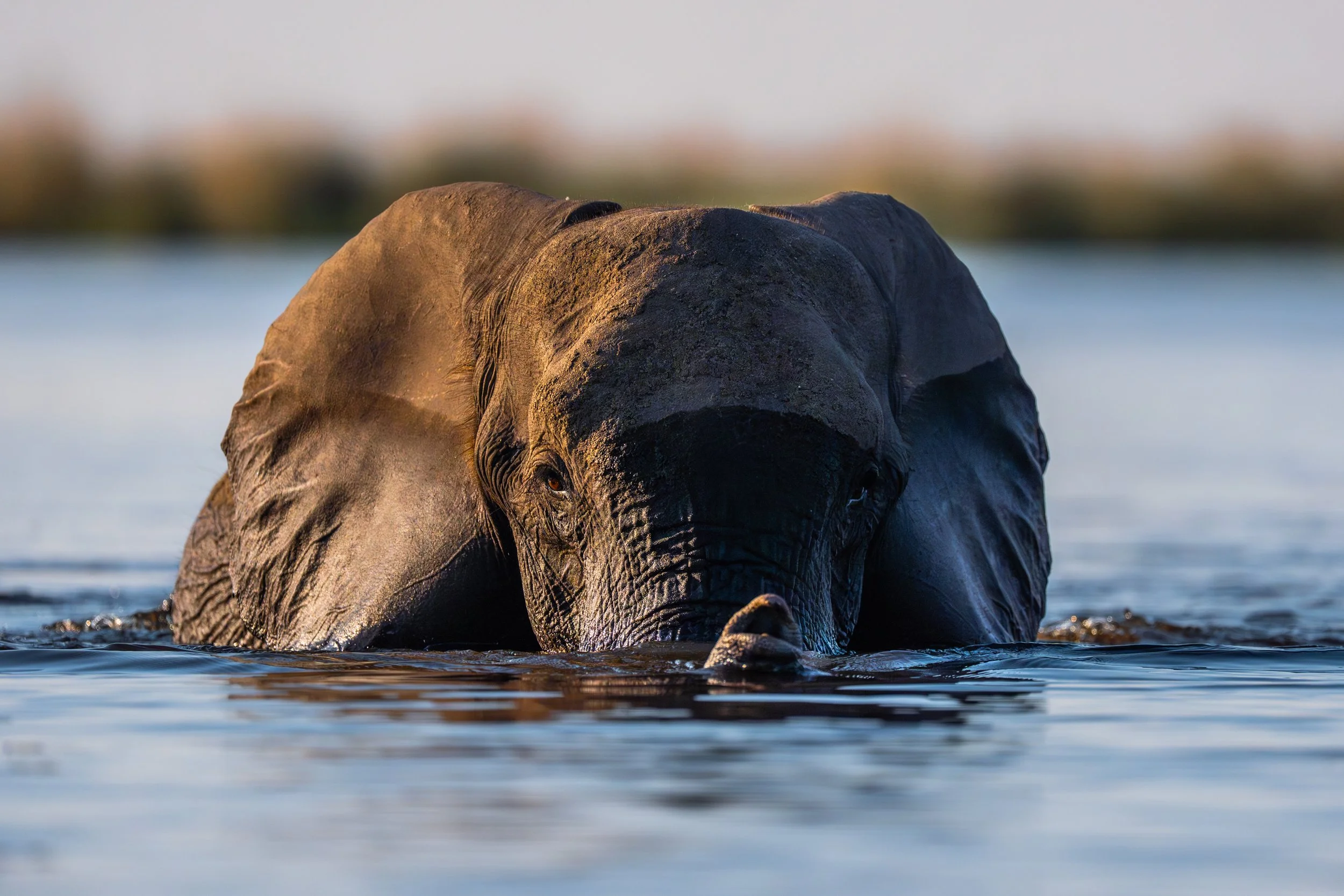 09-30-2025-Botswana-A9-TPJ09081.jpg