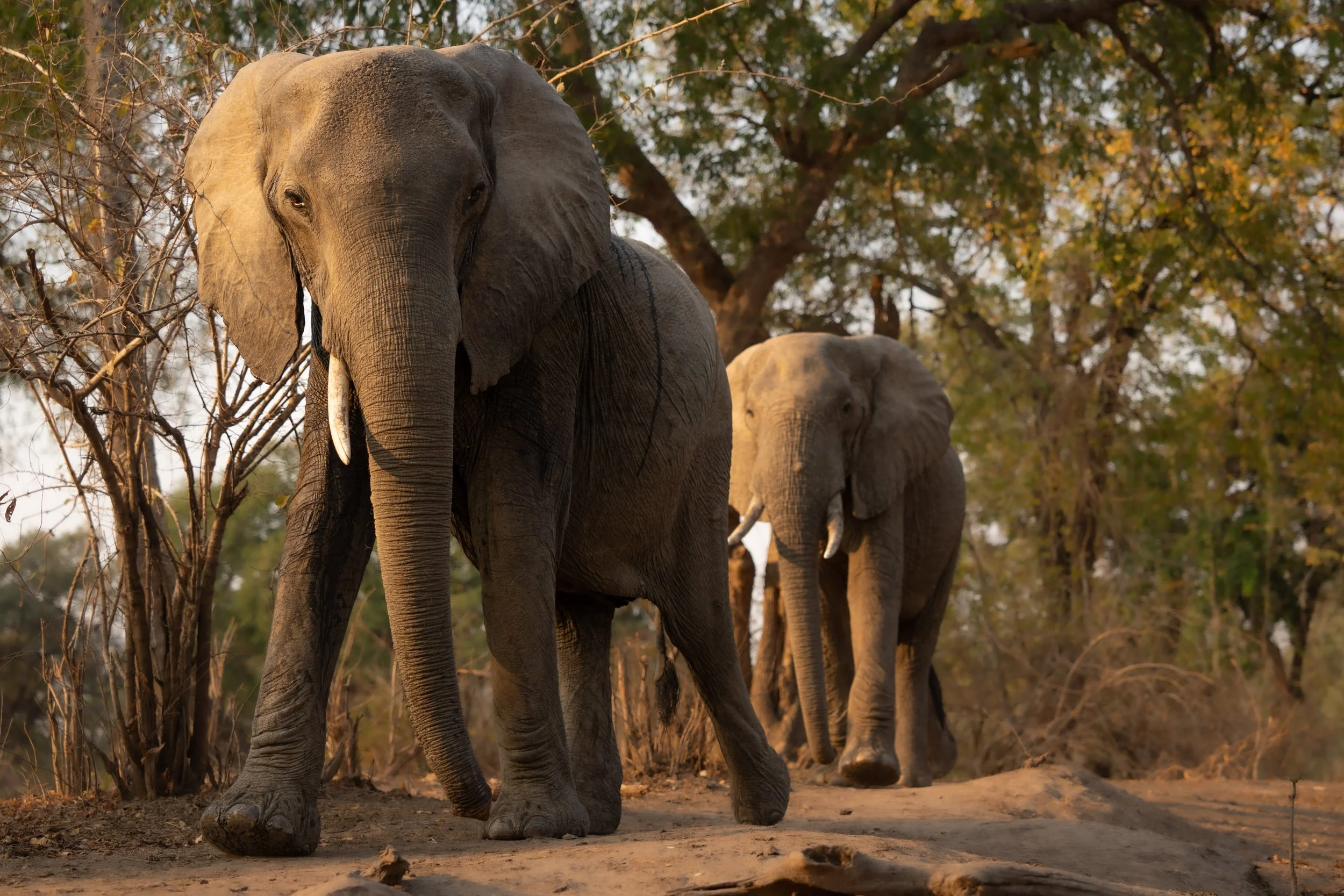09-14-2024-ZAMBIA-A1-TPJ03606.jpg