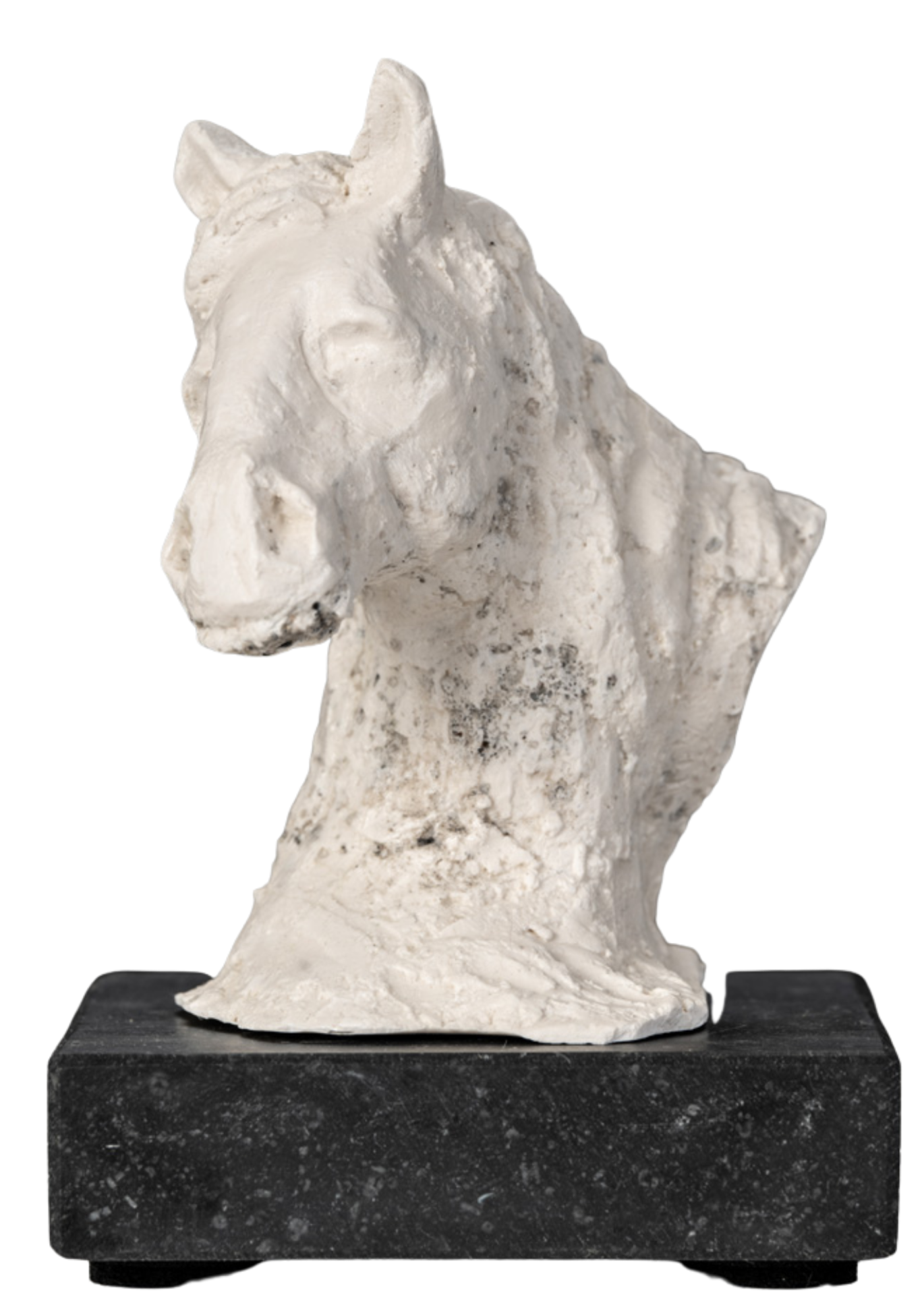 Een wit beeldhouwwerk van een paardenhoofd op een zwarte sokkel.