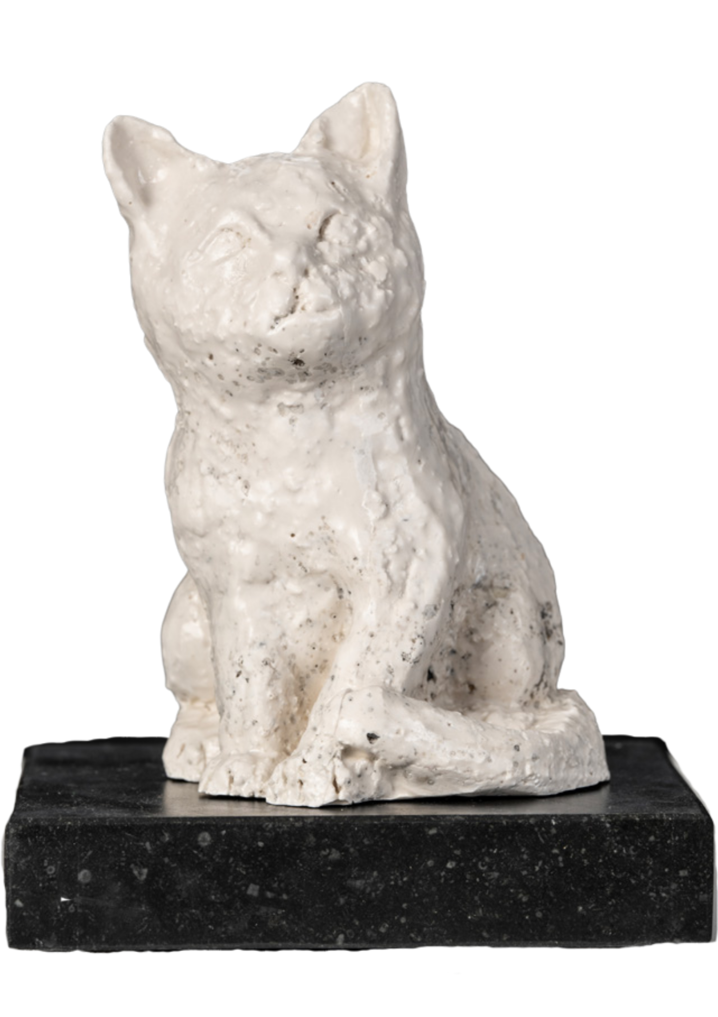 Romeinse marmer beeld van een kat, geplaatst op een zwarte granieten sokkel.
