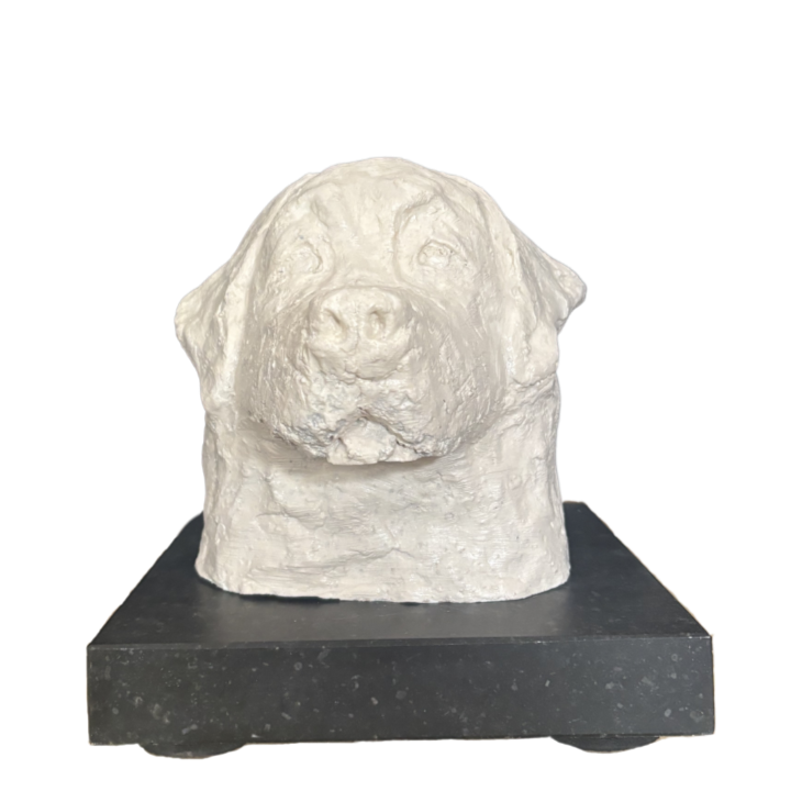 Een witte sculptuur van een hondengezicht op een zwarte sokkel.