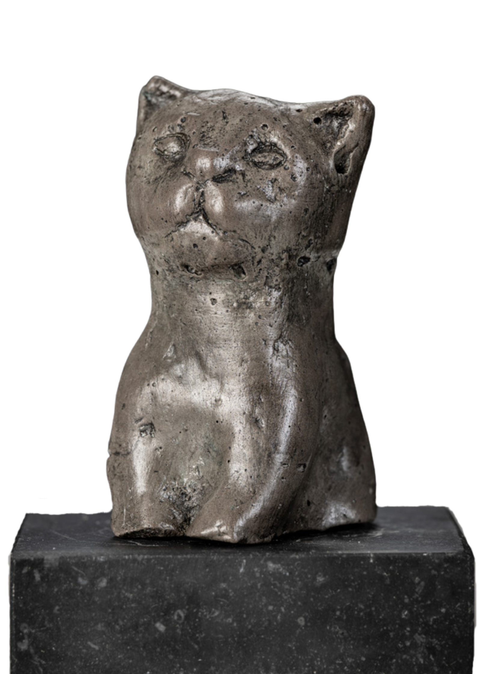 Een sculptuur van een dierlijk hoofd met korte oren en een smallere nek, gemaakt van een matzwarte, geruwde stof, geplaatst op een zwarte basis.