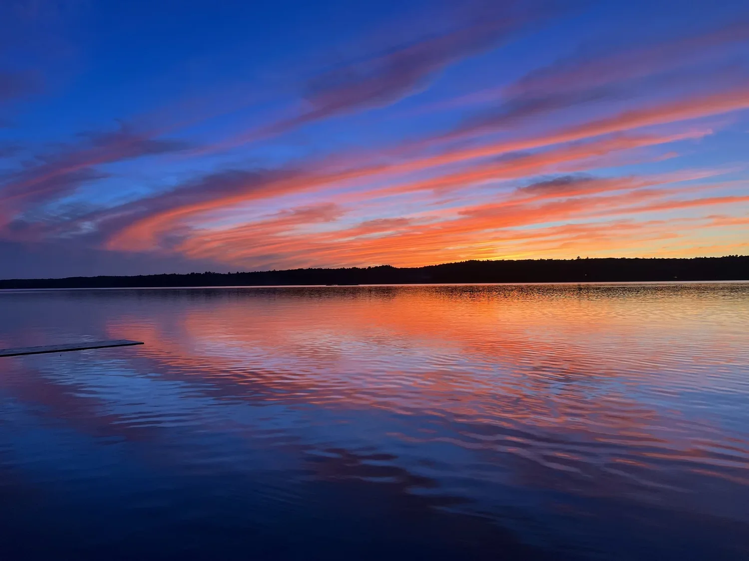 Photos by Children / Claire Knightly (12 years old)