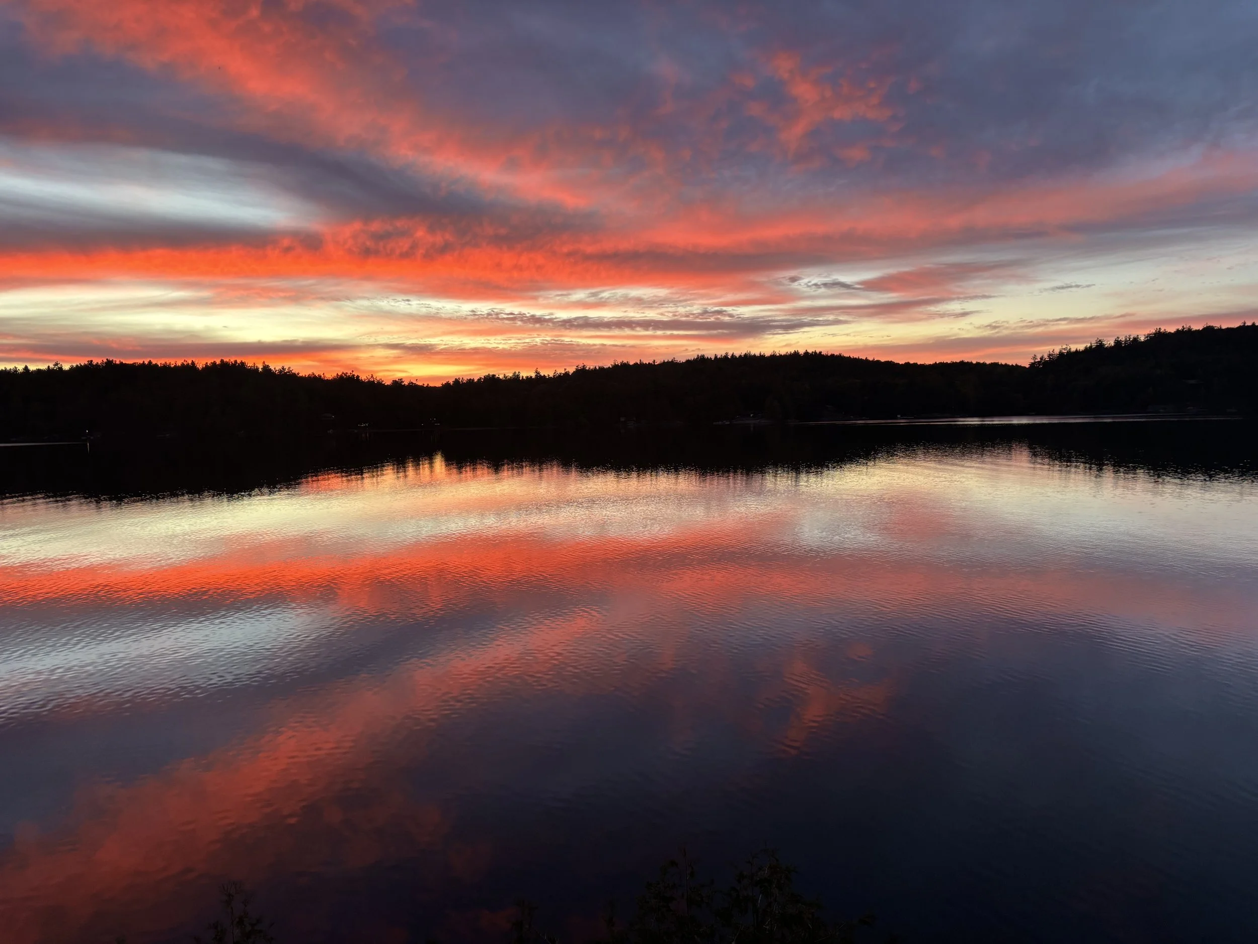 Photos by Children / Sarah Bursey (12 years old)