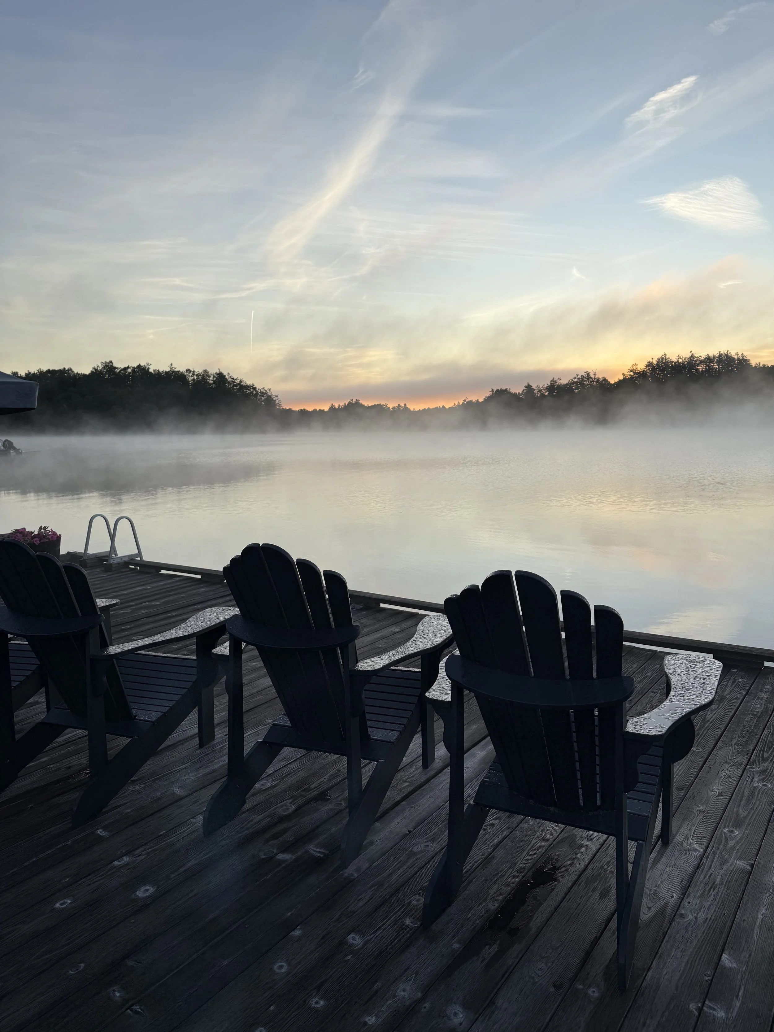 Landscape / Seanna Metherall