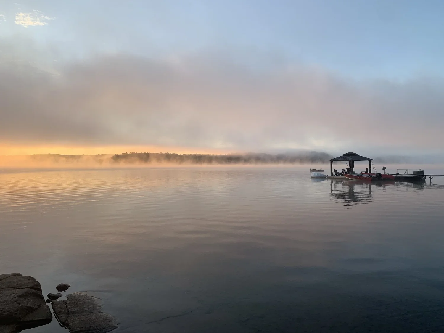 Landscape / Lisa Miller