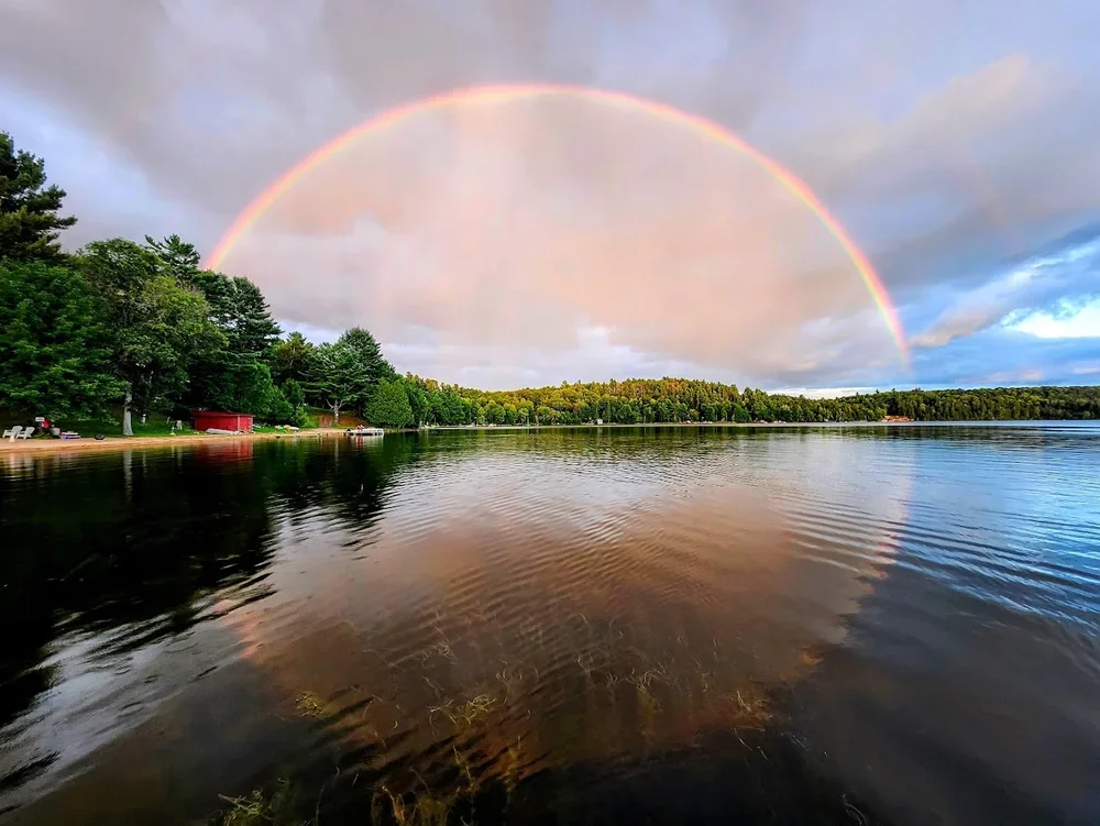 Landscape / David Ross