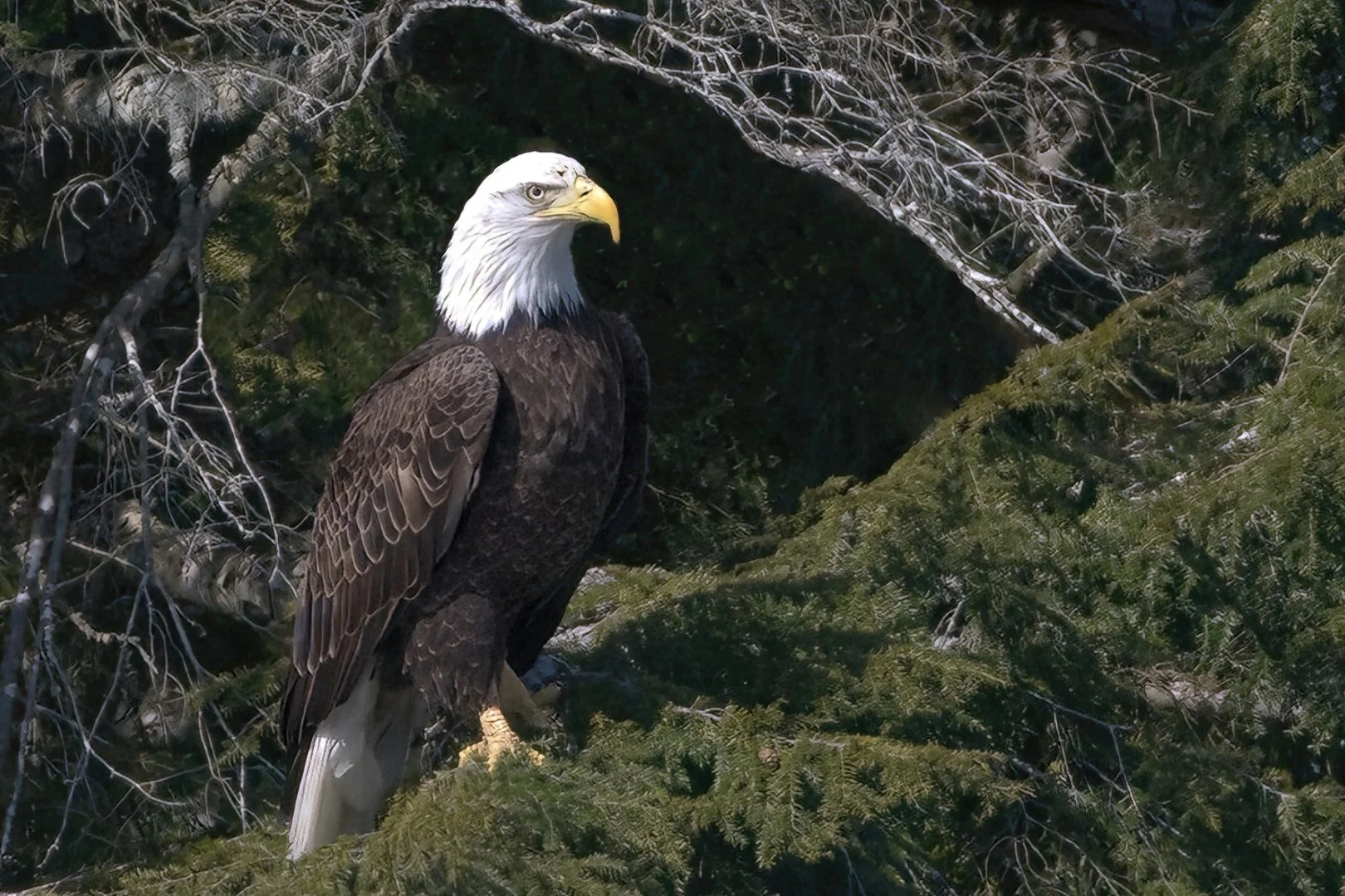Nature / Larry Murphy