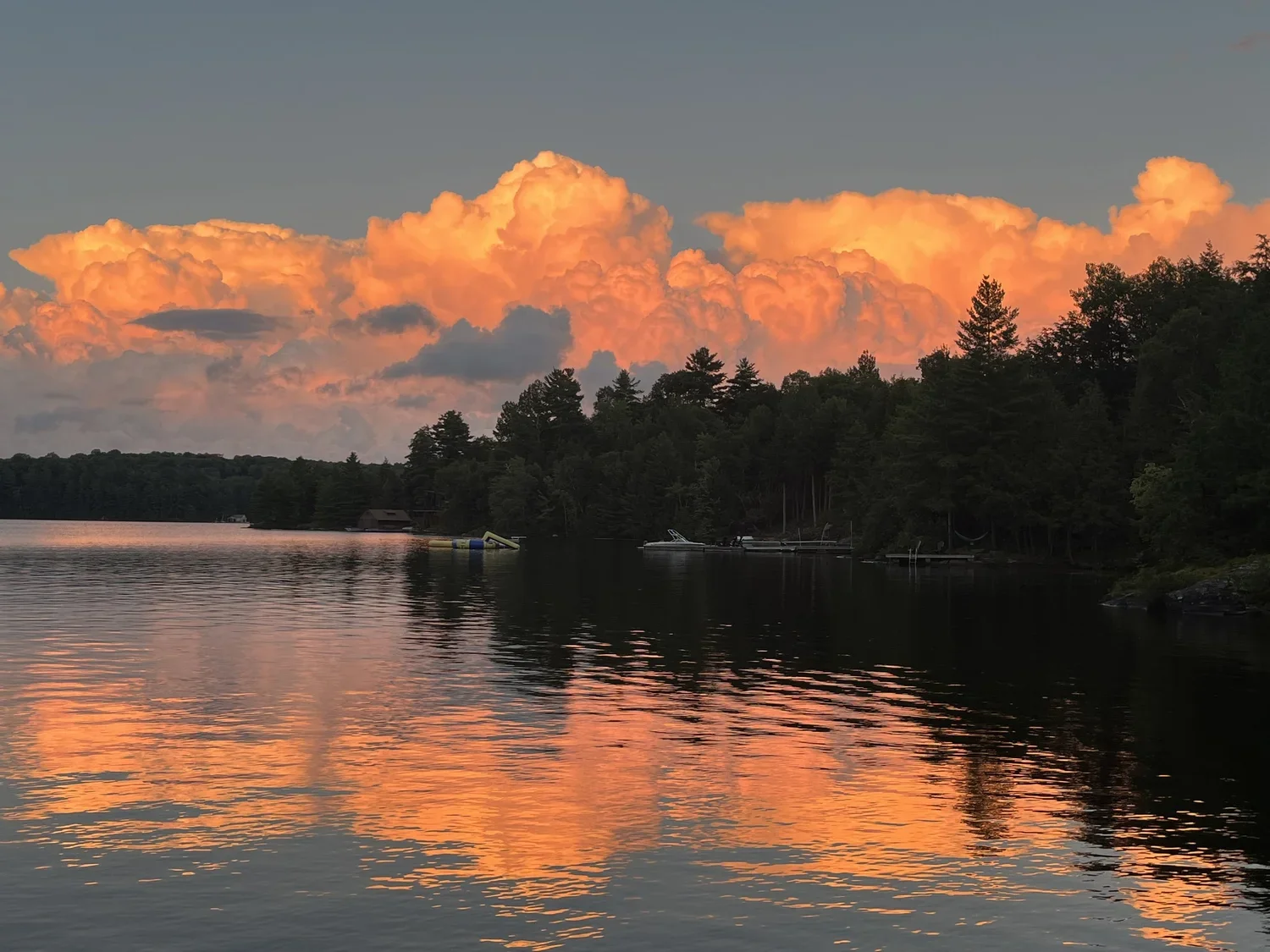 Landscape / Kerri Debnam