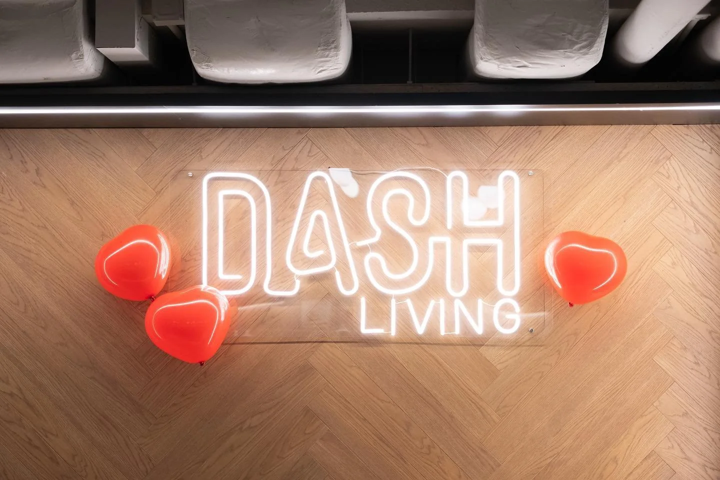 330463414_1412302535973092_2992318657792478339_n (1).jpg