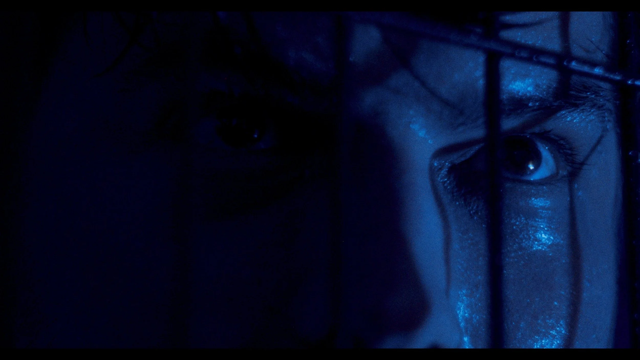 Close-up of a person's face behind a metal grid, illuminated with blue light, focusing on their eyes.