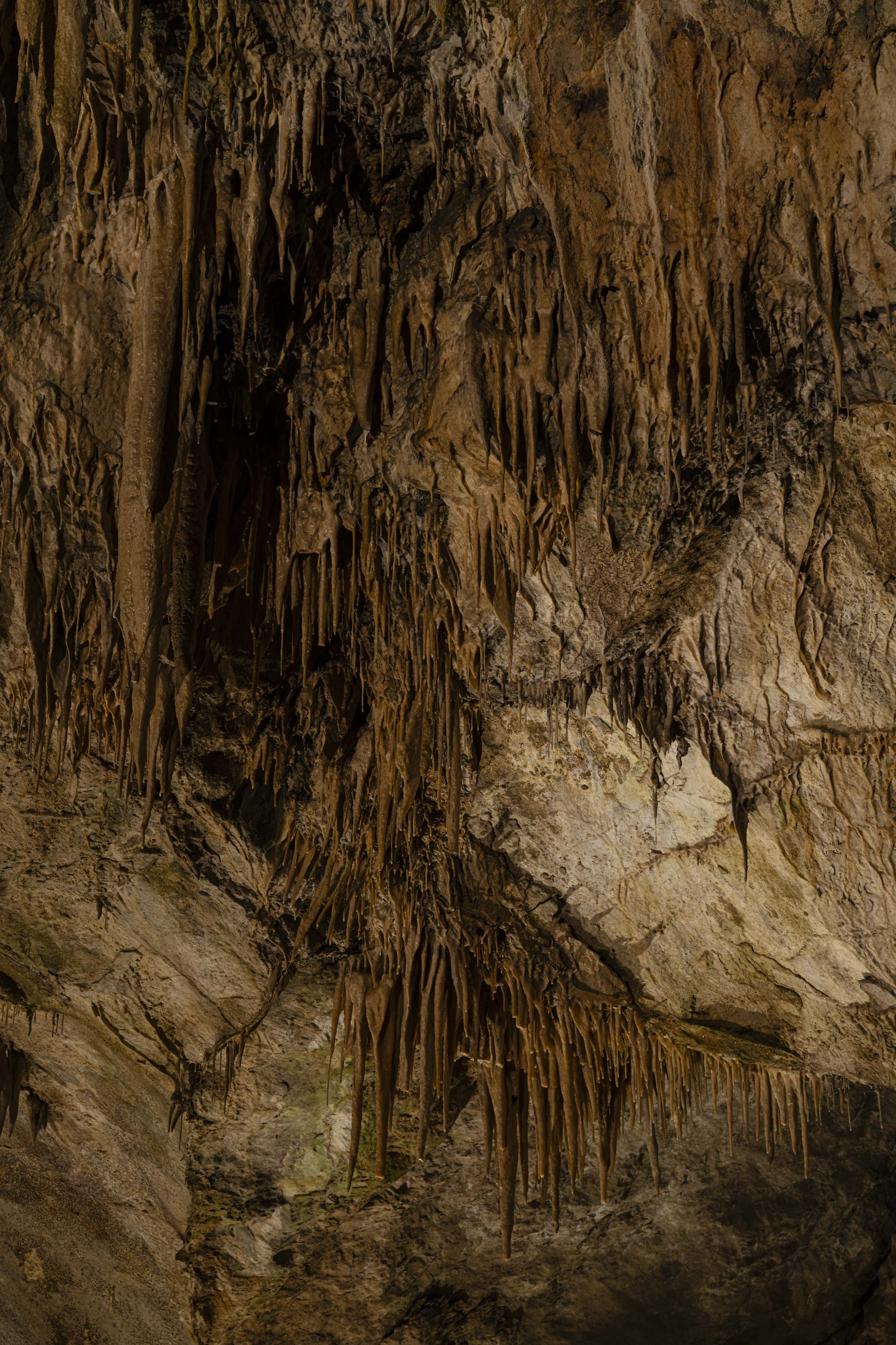 Grotte di Bossea Frabosa Soprana CN