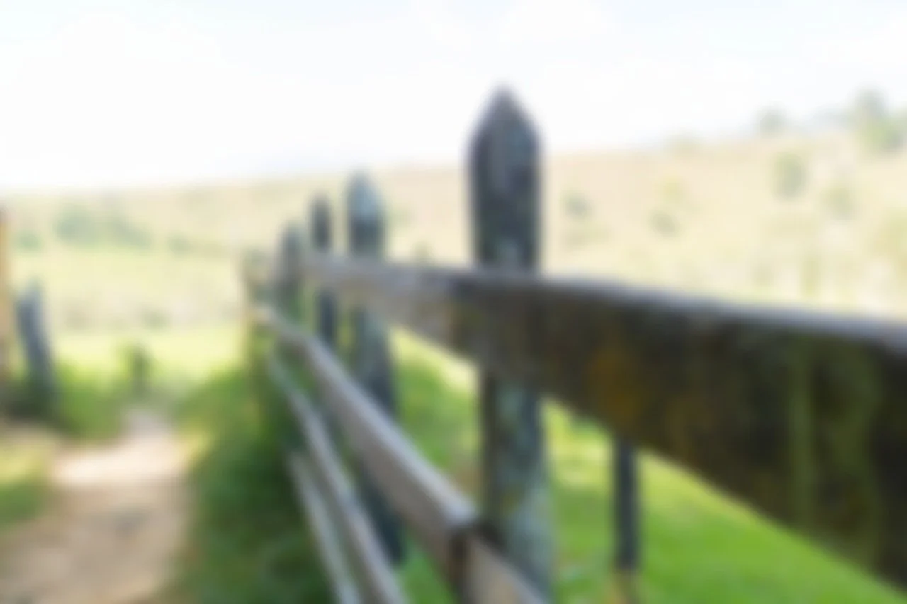 Setting Healthy Boundaries