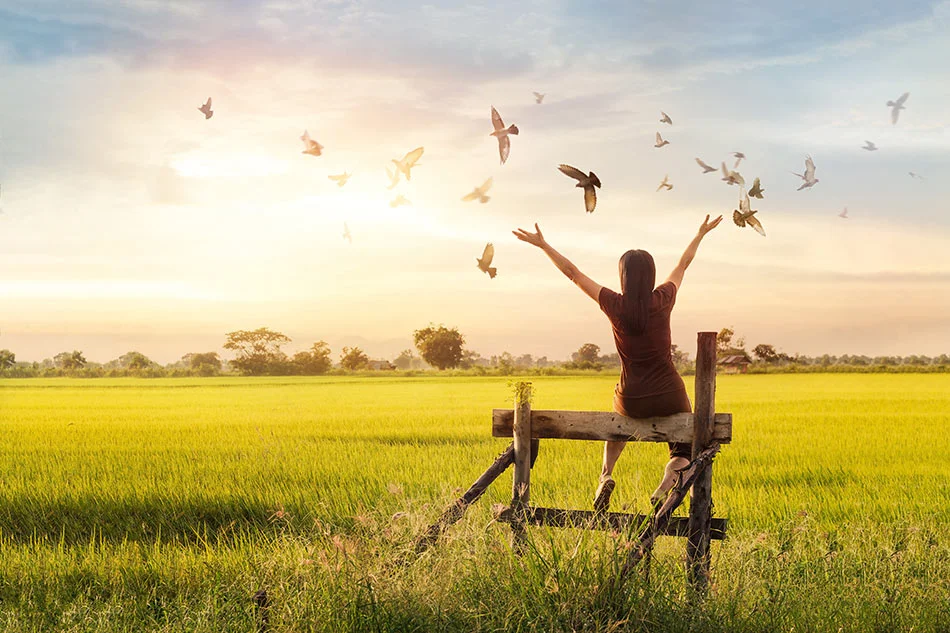 A woman sitting on a wooden fence with her arms raised in the air, surrounded by a flock of birds flying in the sky over a green field at sunset.
