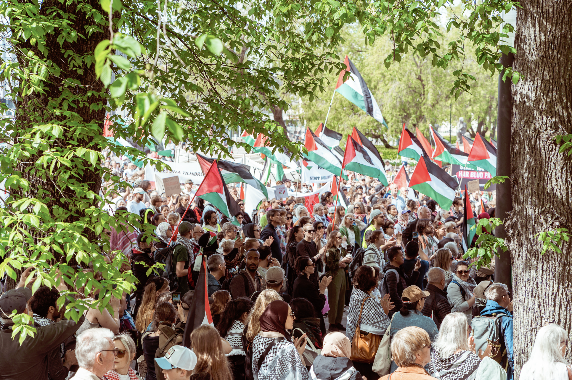 Screenshot 2025-12-28 at 19.53.10.png