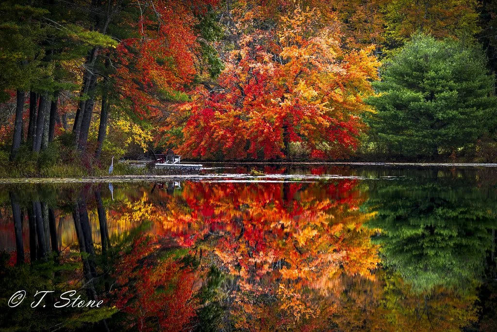 Colorful autumn trees with red, orange, and green leaves reflecting in a calm lake, with a small dock and boat on the shore.
