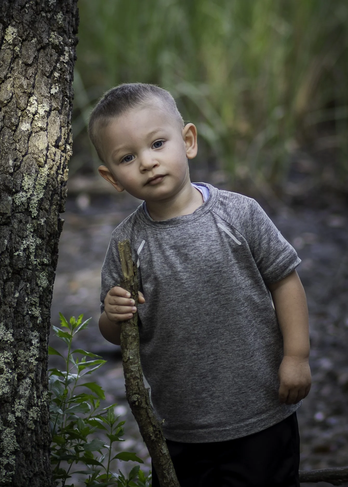 A young boy with short light brown hair and blue eyes stands outdoors holding a stick in his right hand near a tree trunk, with tall green plants and blurred greenery in the background.
