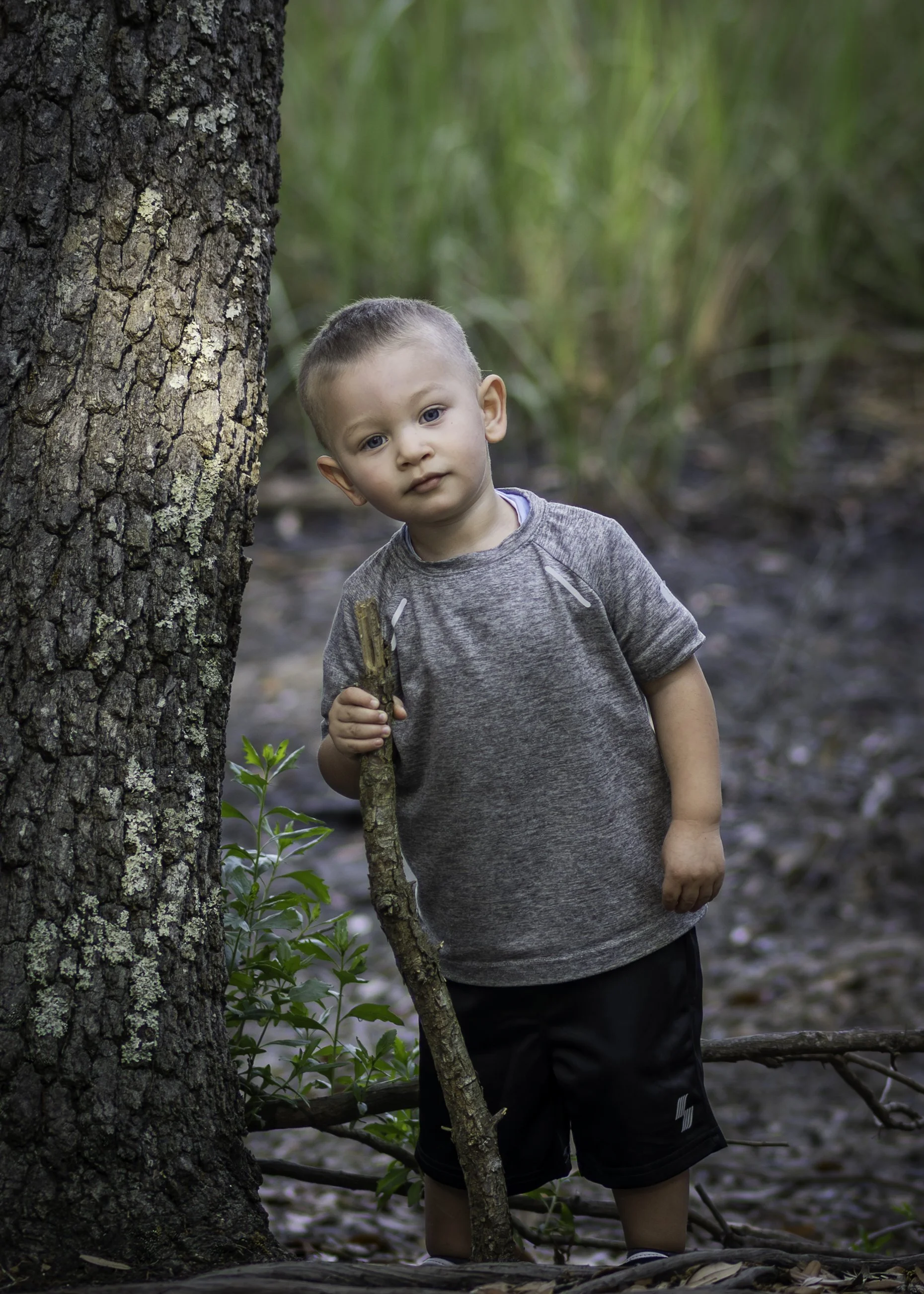 Young boy with short hair and blue eyes standing outdoors in a natural setting, holding a small stick, next to a large tree with green foliage.