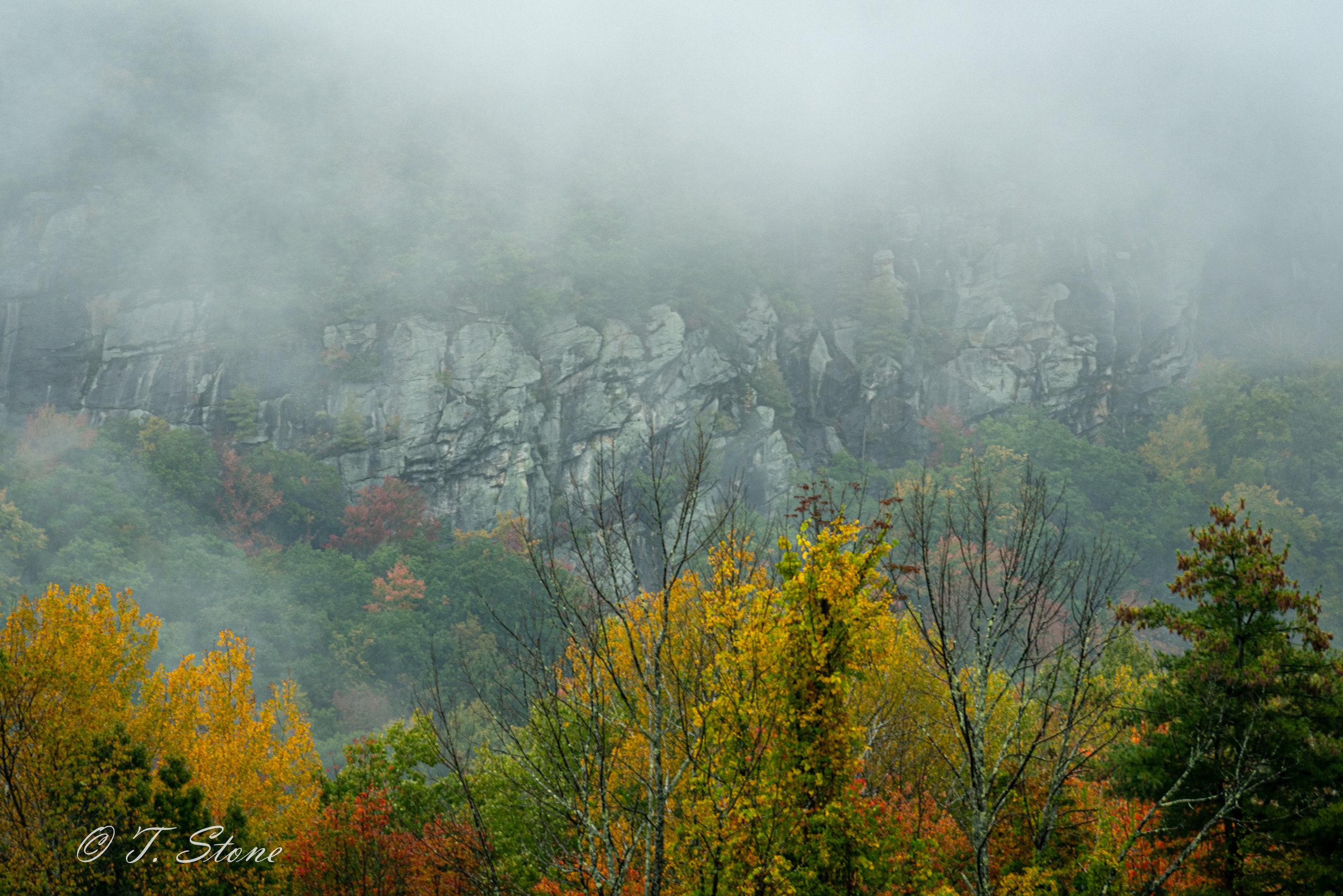 Foggy mountain landscape with trees in autumn colors and rocky cliffs in the background