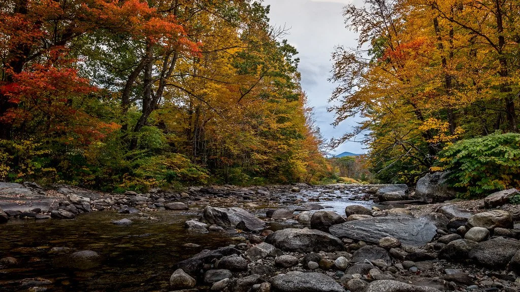 A river flowing through a forest during fall, with trees showing orange, yellow, and green leaves, and rocks along the riverbank.