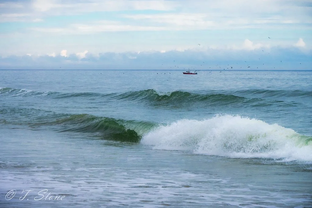 Calm ocean with small waves and a boat in the distance, seagulls flying overhead, under a cloudy sky.