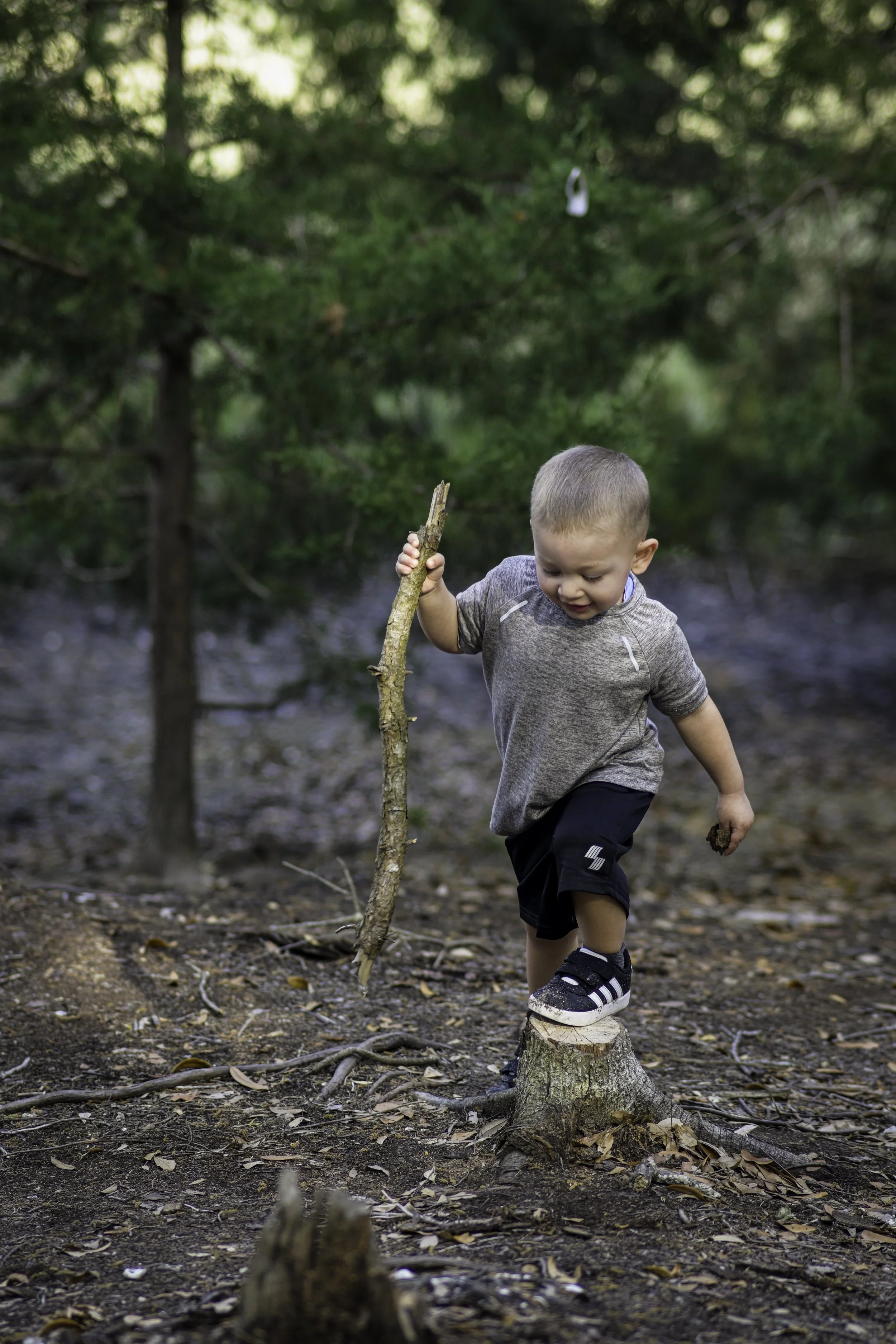 A young boy with short hair is balancing on a tree stump in a wooded area, holding a stick in his right hand and looking down at the ground.