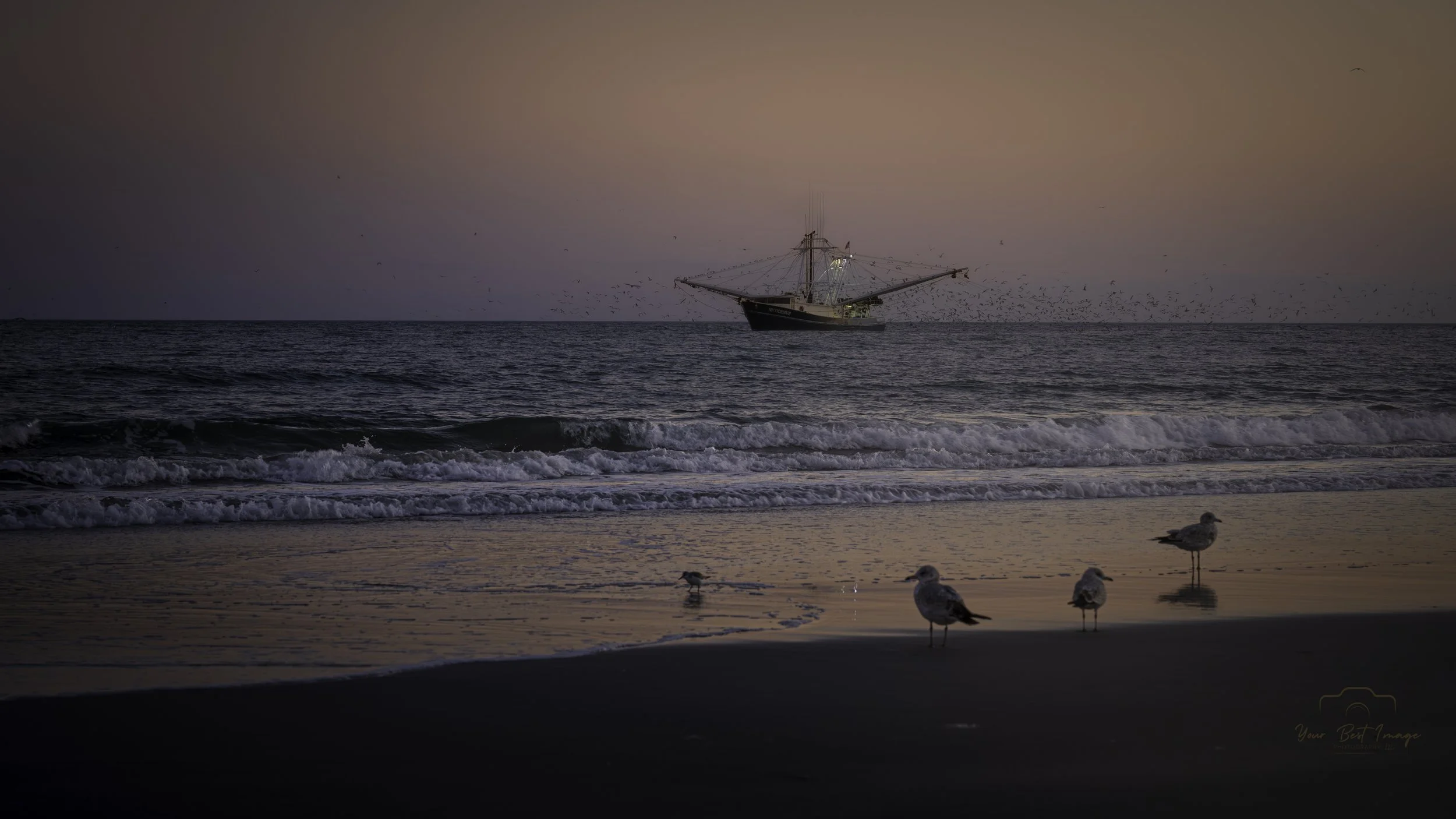 Seagulls on the beach at sunset with a sailboat in the distance over the water.