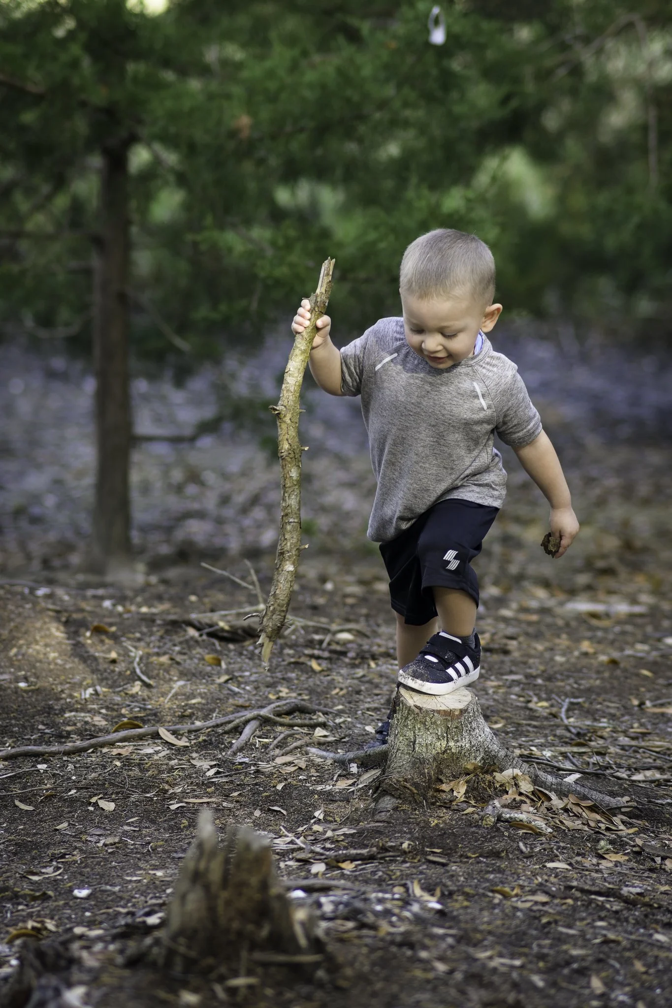 A young boy wearing a gray shirt and black shorts balancing on a tree stump in a wooded area, holding a long stick, surrounded by trees and fallen leaves.