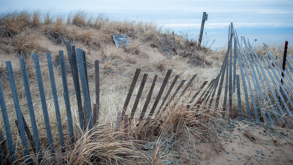 A damaged wooden beach fence leaning and broken on sandy dunes with dry grass.