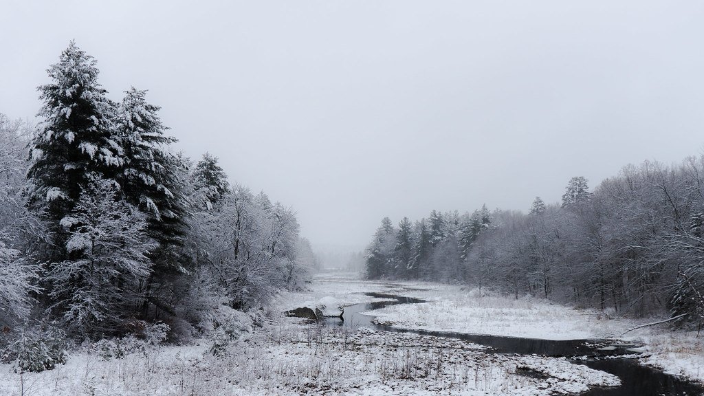 Snow-covered trees along a winding river in a winter landscape.