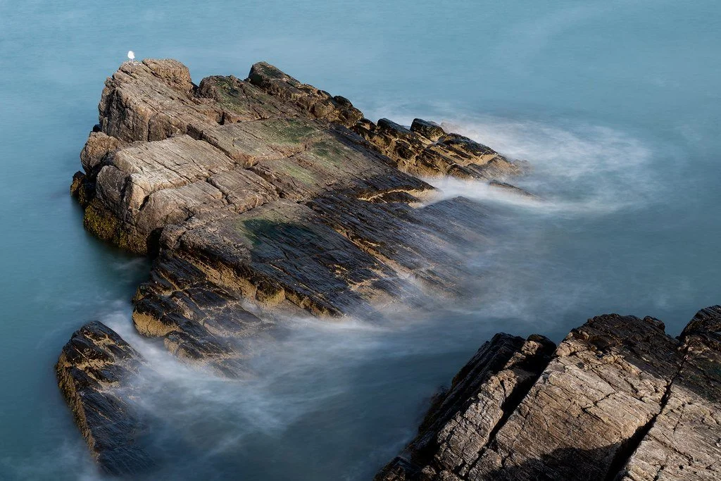 Rocks in the ocean with waves gently washing over them, and a seagull standing on the rocks.