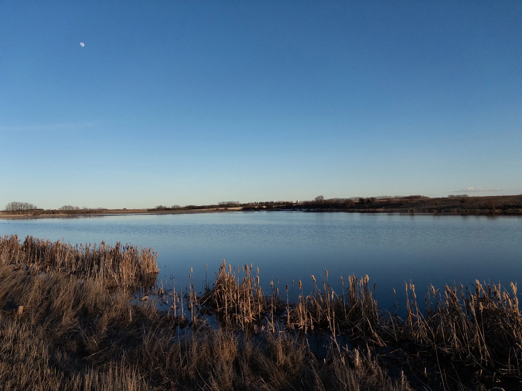 Prairie Landscape