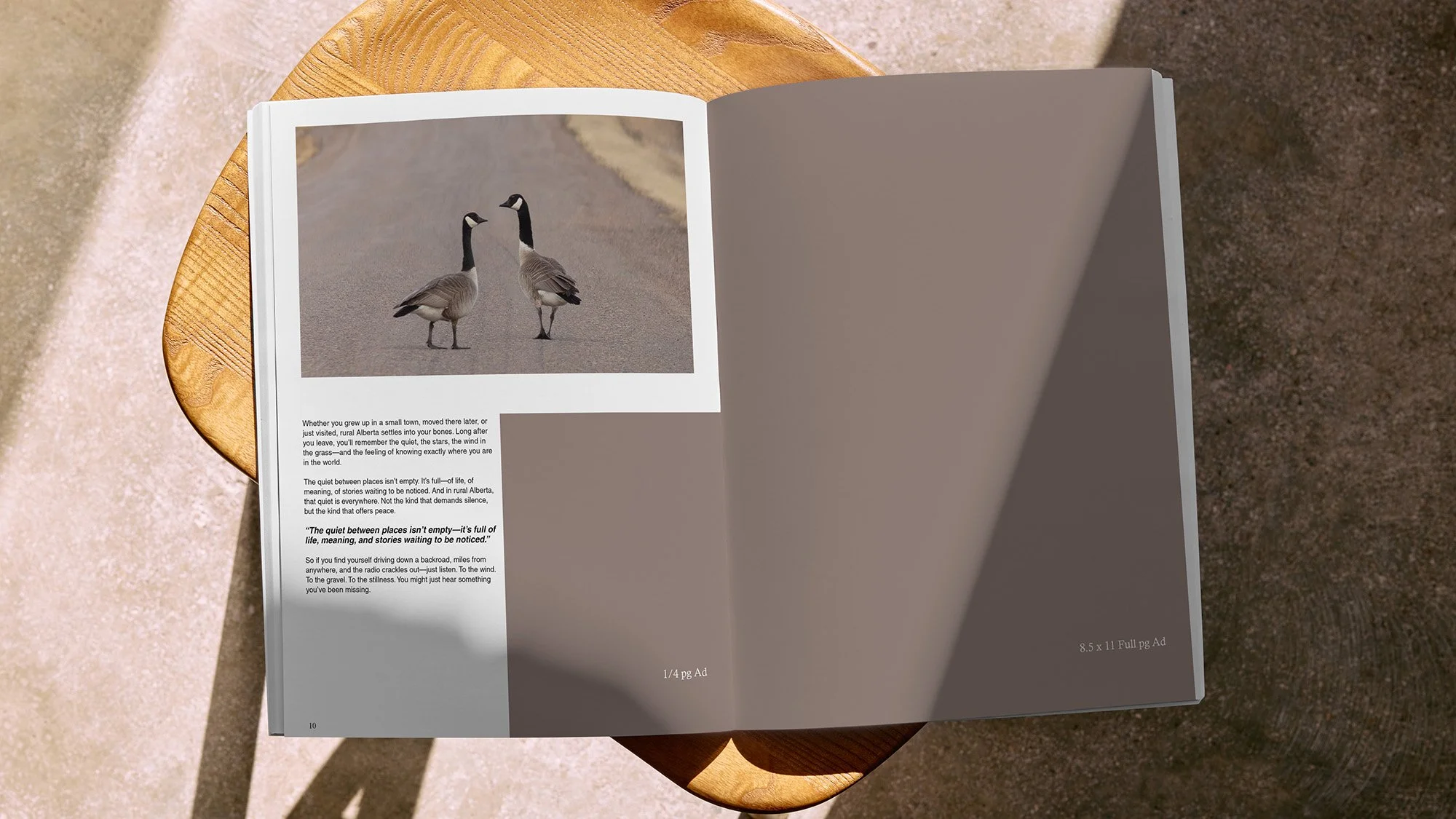 Magazine Layout with Geese