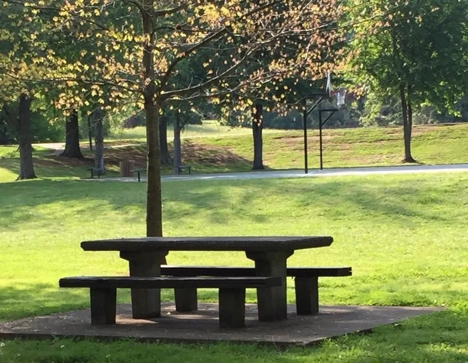A park with a concrete picnic table and benches under a tree, surrounded by grass and additional trees in the background.