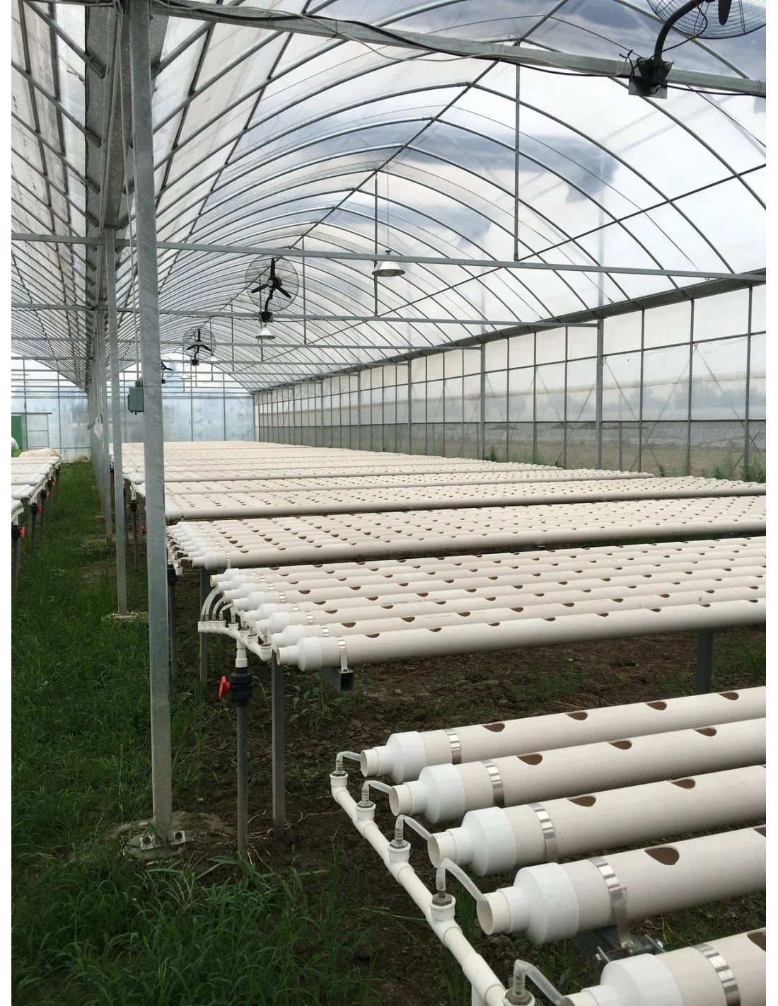 Invernadero con tuberías blancas y estructuras metálicas, cubierta de plástico transparente, utilizado en agricultura.