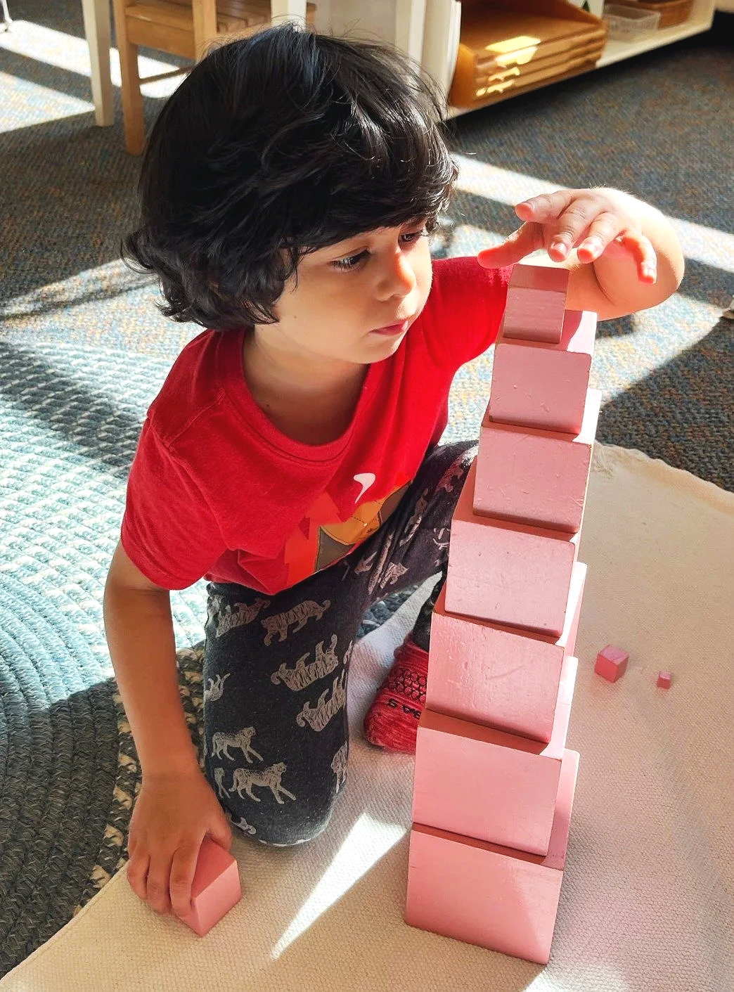 Pink+Tower+Building.png