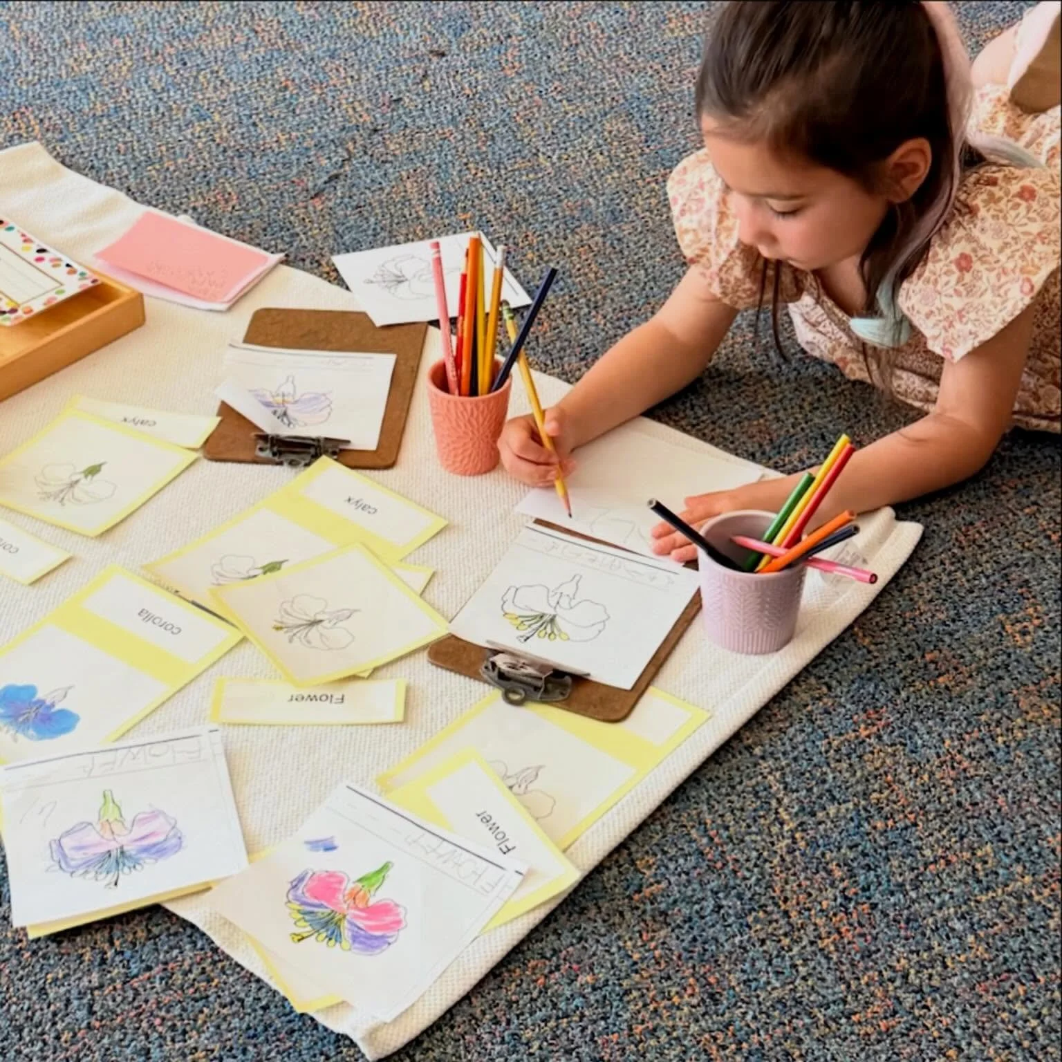 One of the most beautiful things to observe in a Montessori primary classroom is a deep concentration. It builds naturally when children are given meaningful materials, freedom of choice and uninterrupted time to learn. ✨🌈