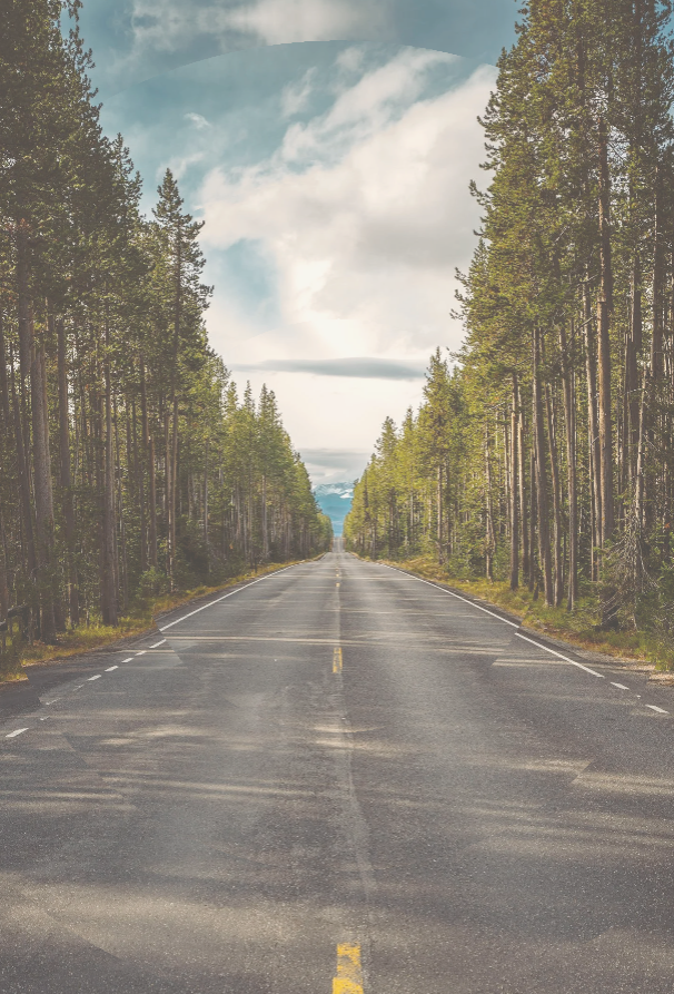 A straight road cutting through a dense forest of tall green pine trees, with a partly cloudy sky overhead.