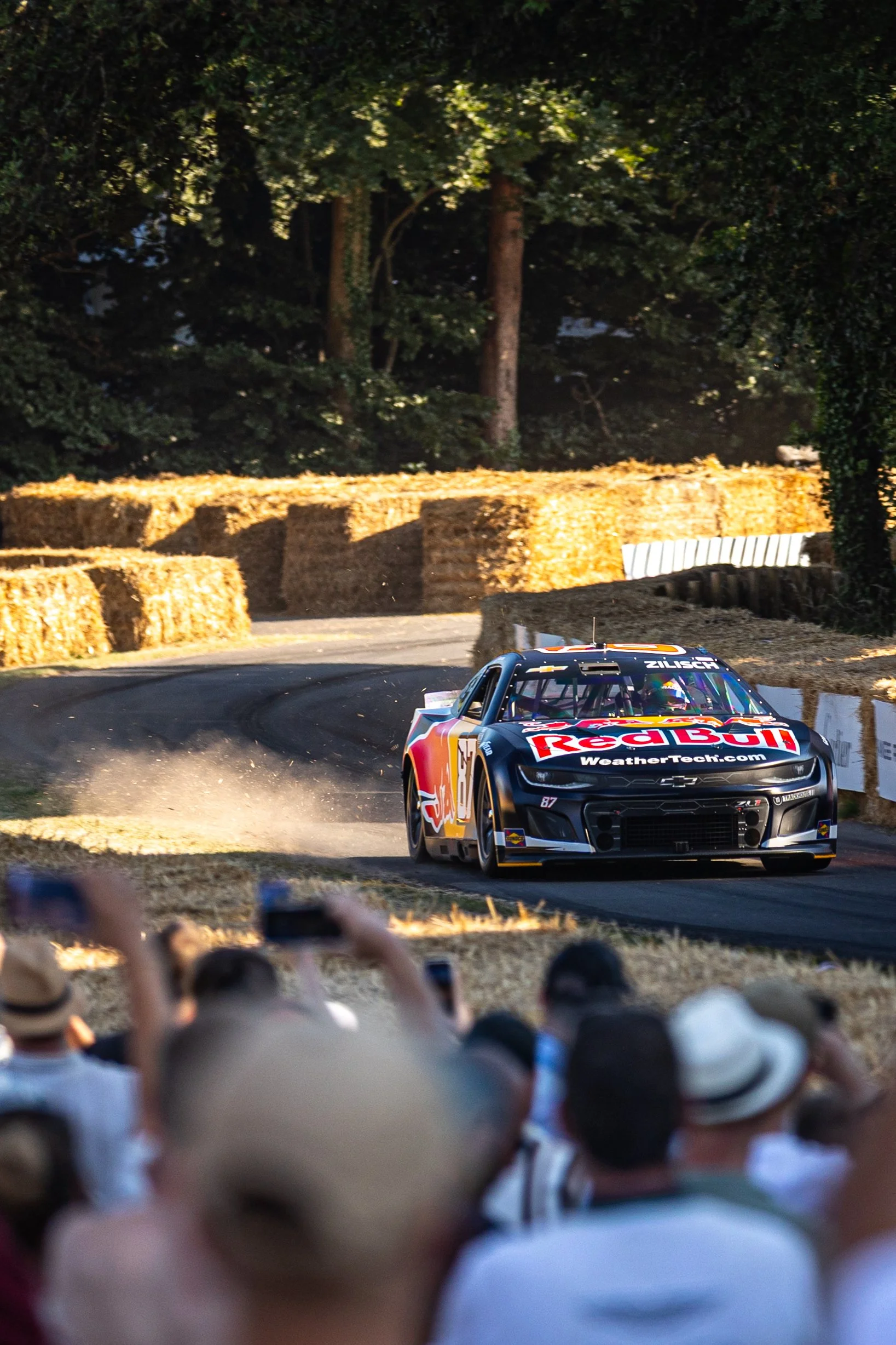 Saturday selects-71.jpg