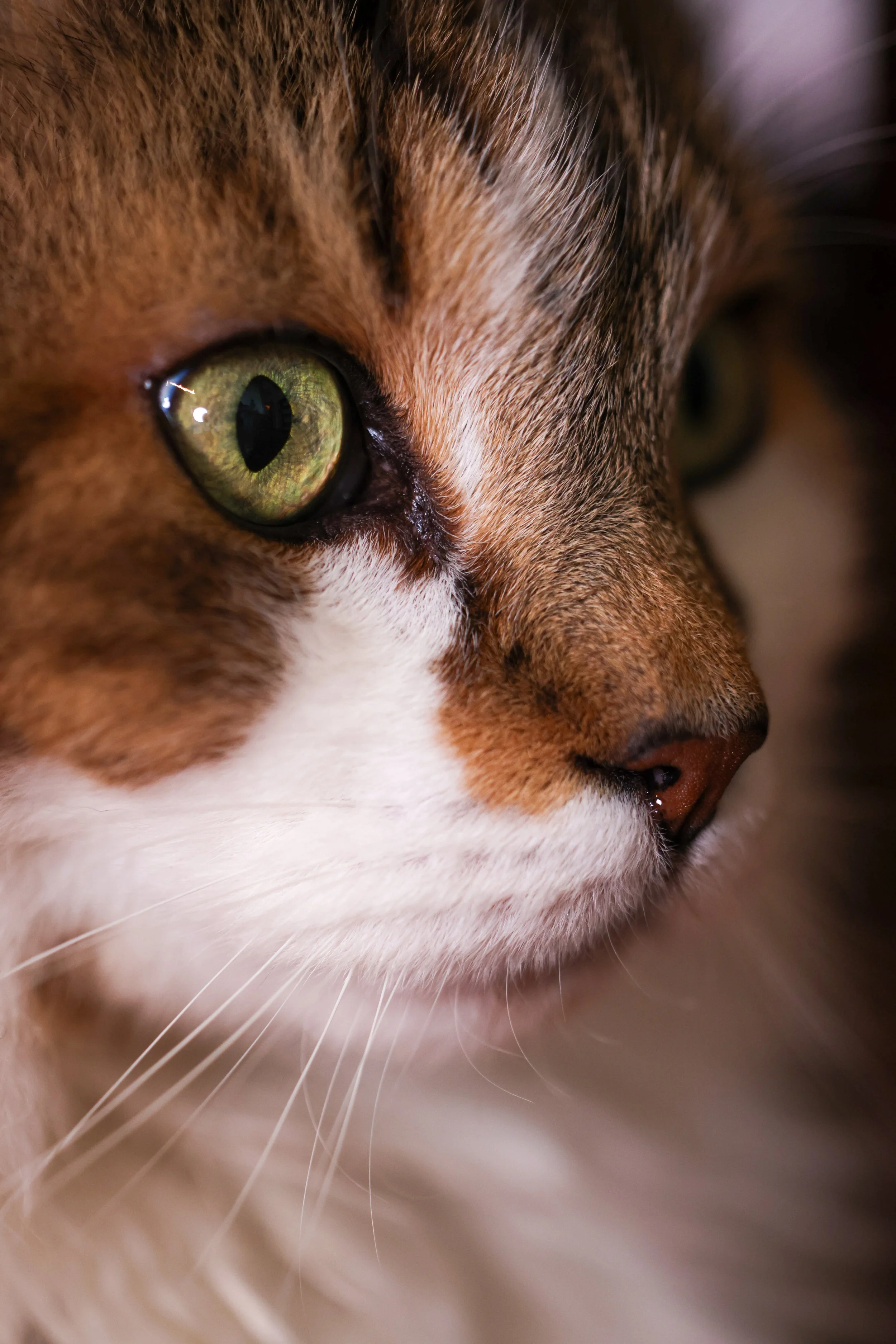 30 Minute Care Visit