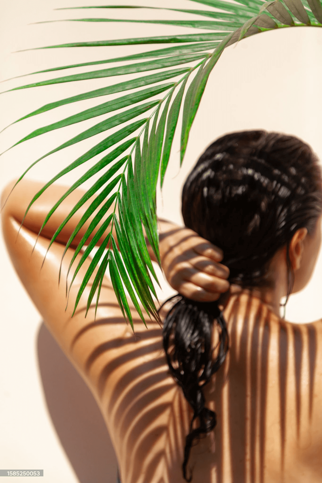 Image of women's back under the shade of a palm leaf.