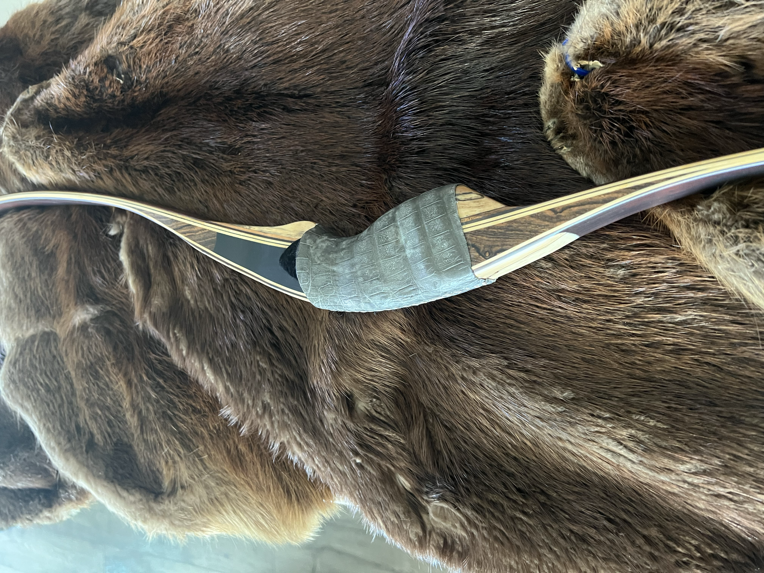 Close-up of a brown bear with a medical tube on its side, lying on its side in a veterinary setting.