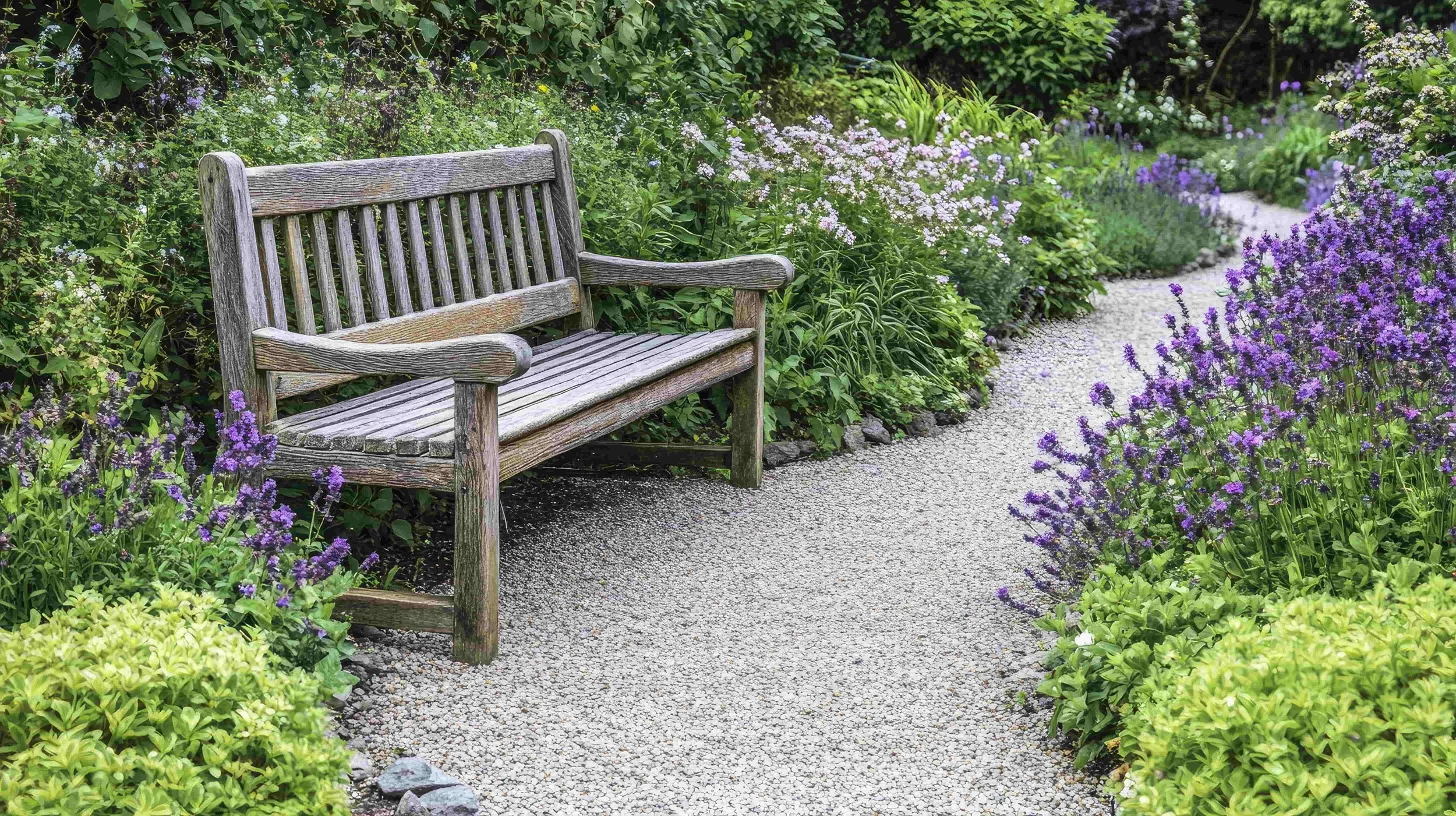 Timber garden bench on a gravel path with layered perennial planting in a Surrey garden
