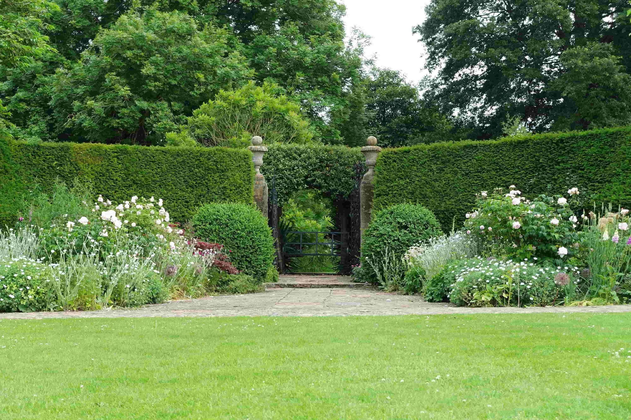 Plants for Year-Round Interest in UK Gardens