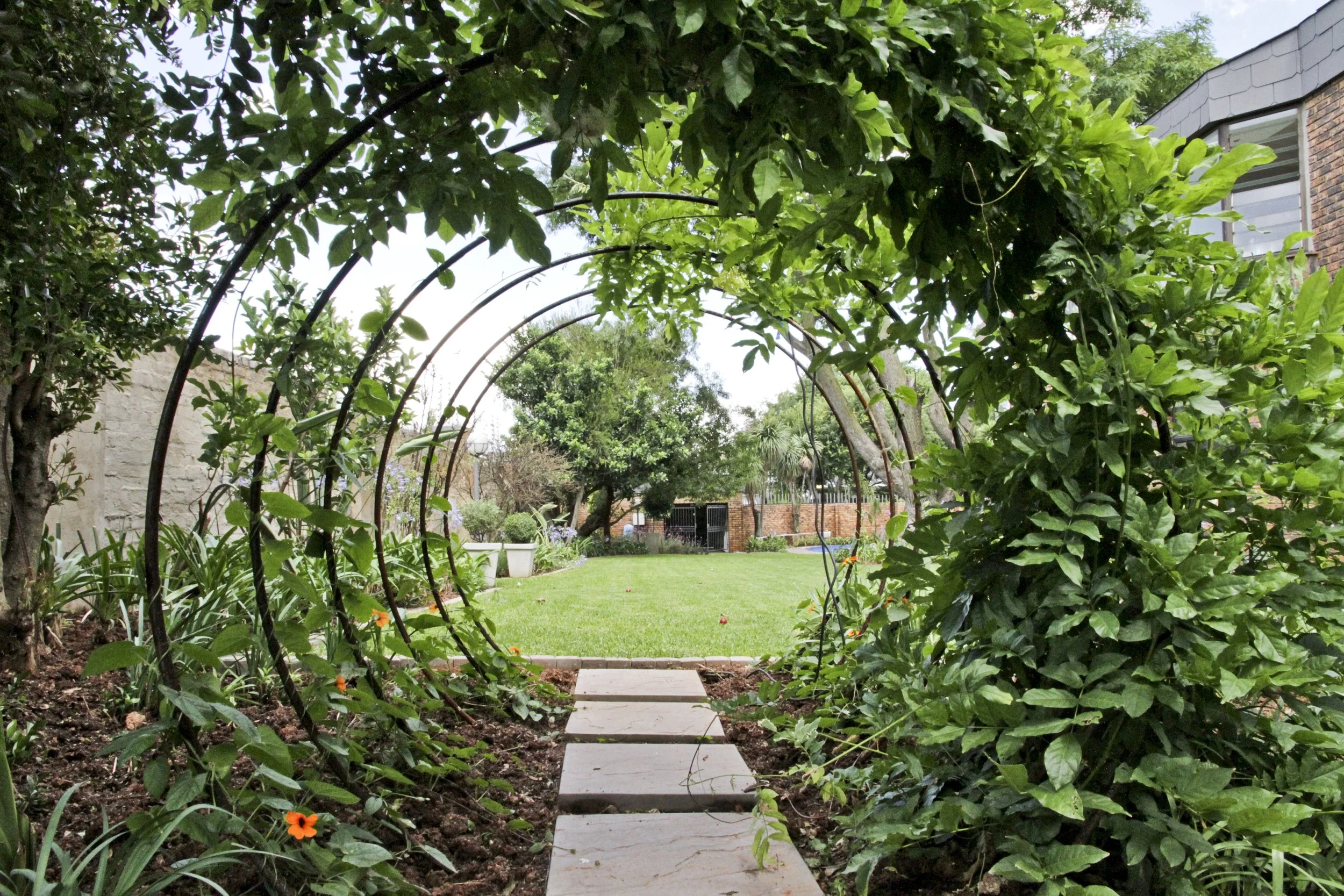 View of a garden yard through a metal archway covered in green leaves, with a stone pathway leading to a grassy area with trees and a brick building in the background.