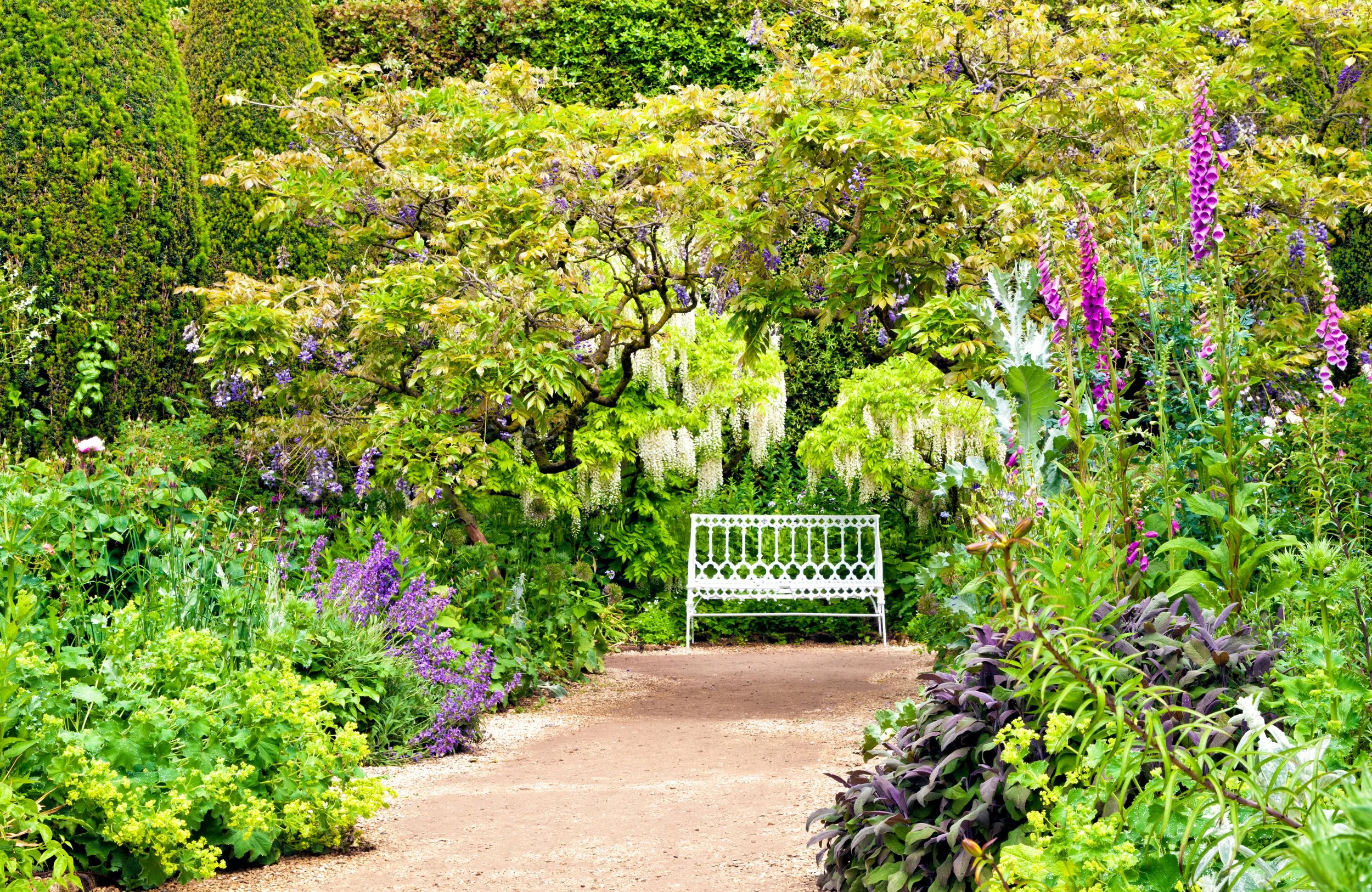 A vibrant garden scene with a dirt pathway leading to a white decorative bench, surrounded by lush green foliage, purple flowers, and a flowering tree.